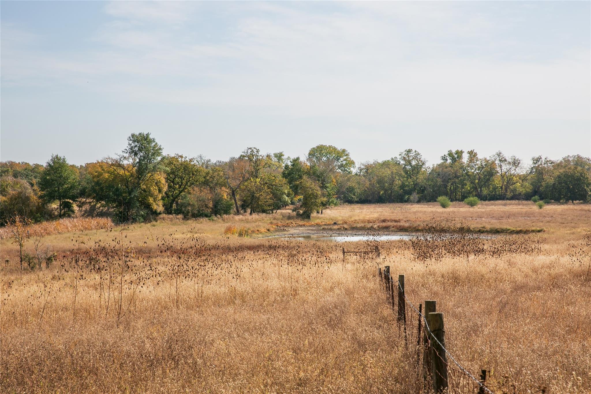 Image 15 of 21 For 4254 Fm 180 Rd