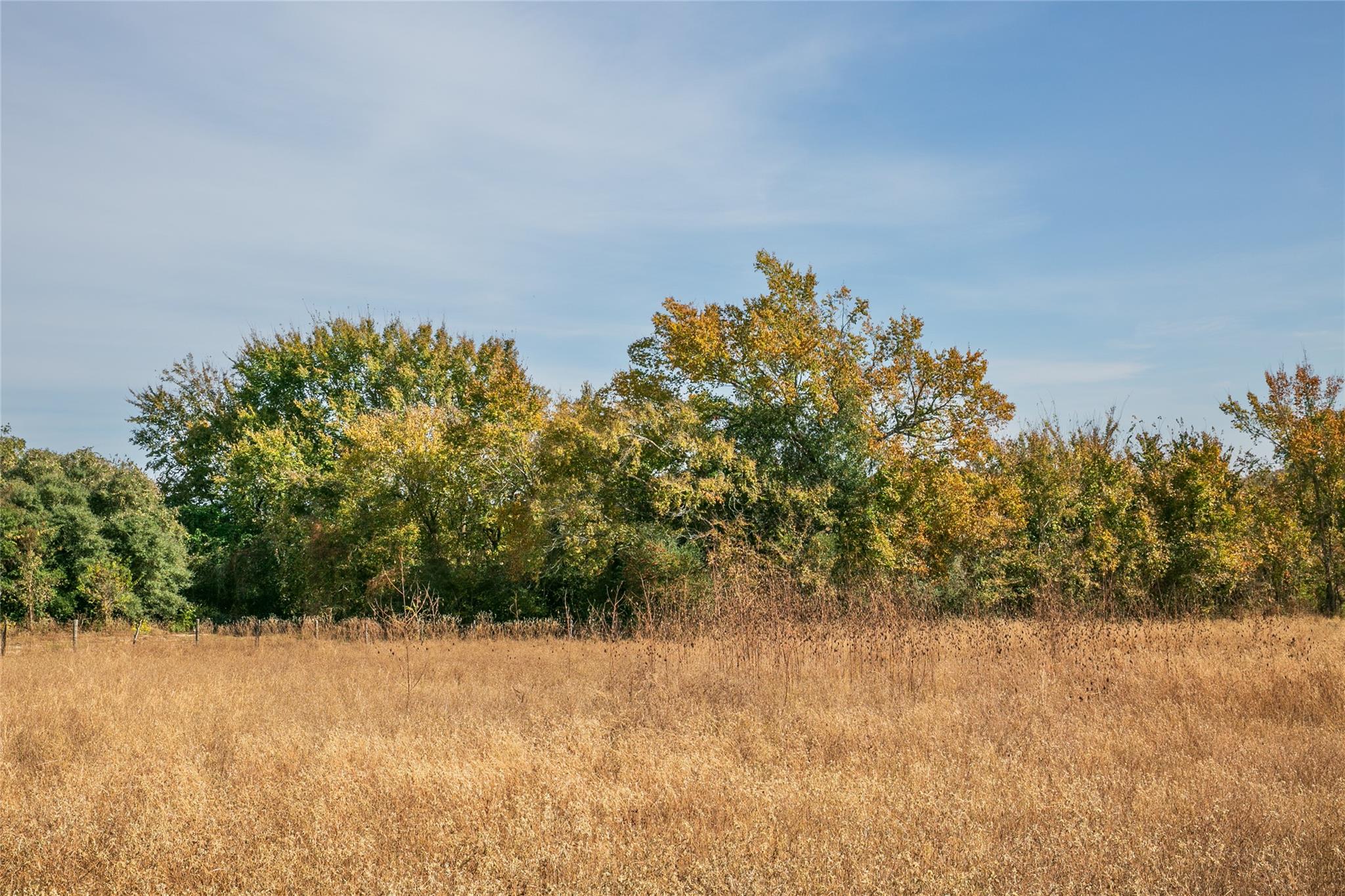 Image 16 of 21 For 4254 Fm 180 Rd