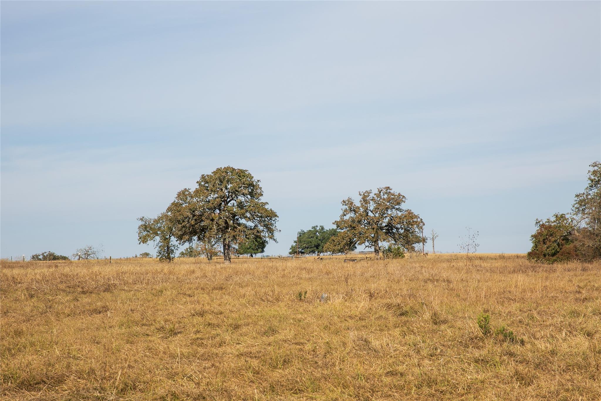 Image 7 of 21 For 4254 Fm 180 Rd