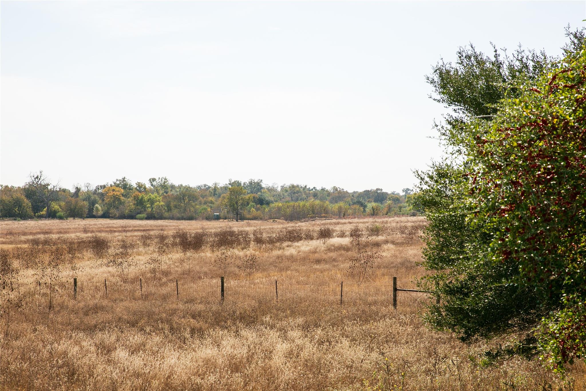 Image 9 of 21 For 4254 Fm 180 Rd