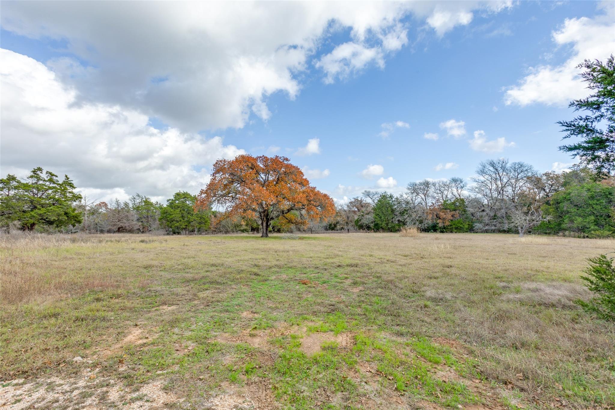 Details for 170 Deadwood Rd, Cedar Creek, TX 78621