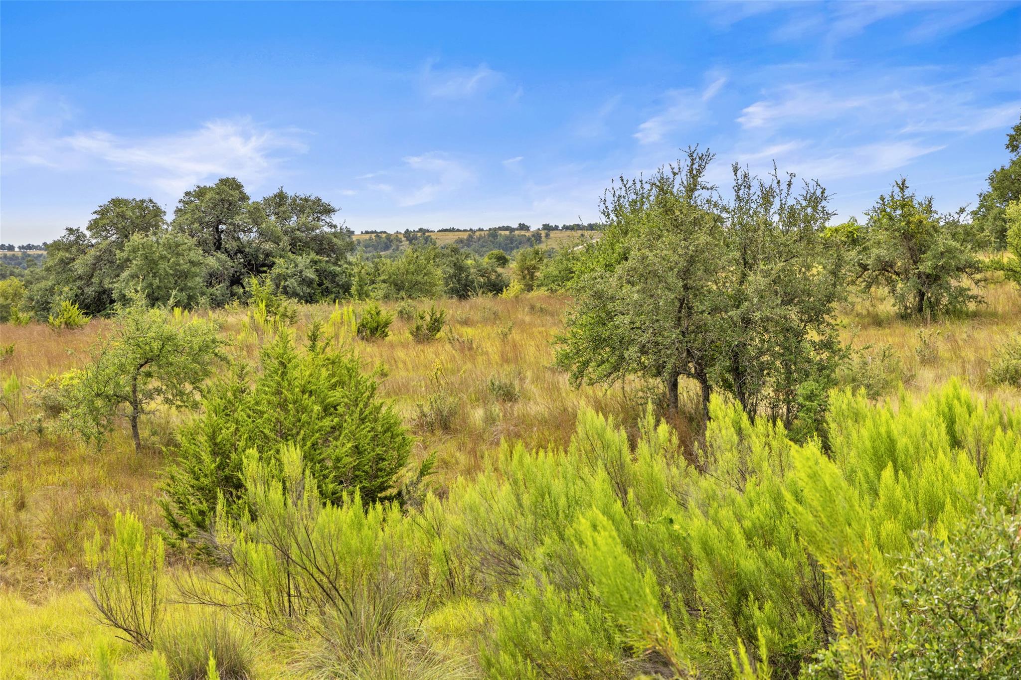 Image 10 of 40 For 1198 Walnut Springs Rd