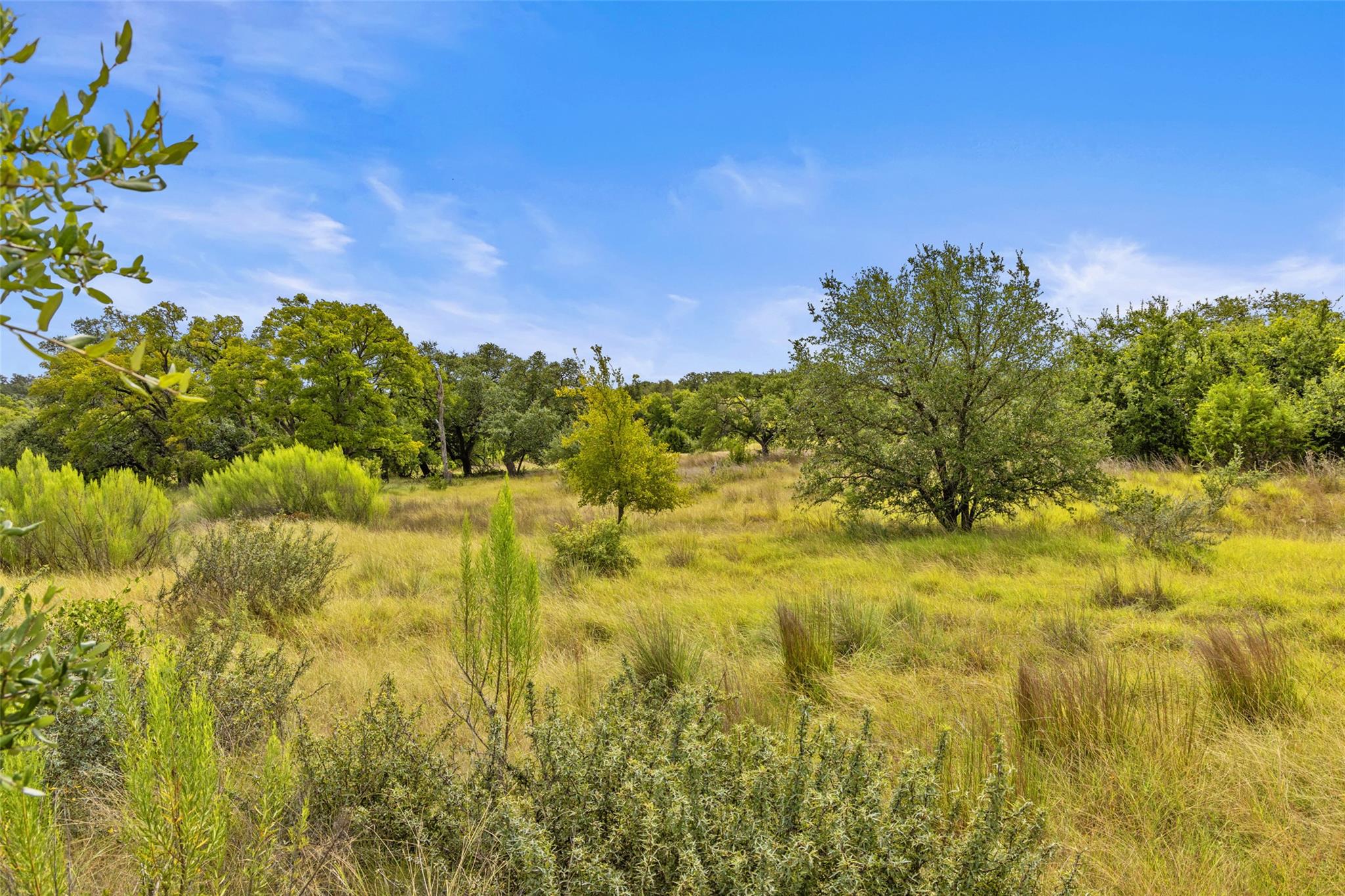 Image 11 of 40 For 1198 Walnut Springs Rd