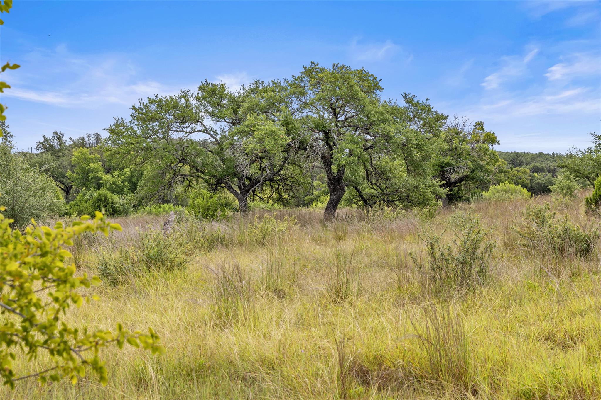 Image 12 of 40 For 1198 Walnut Springs Rd