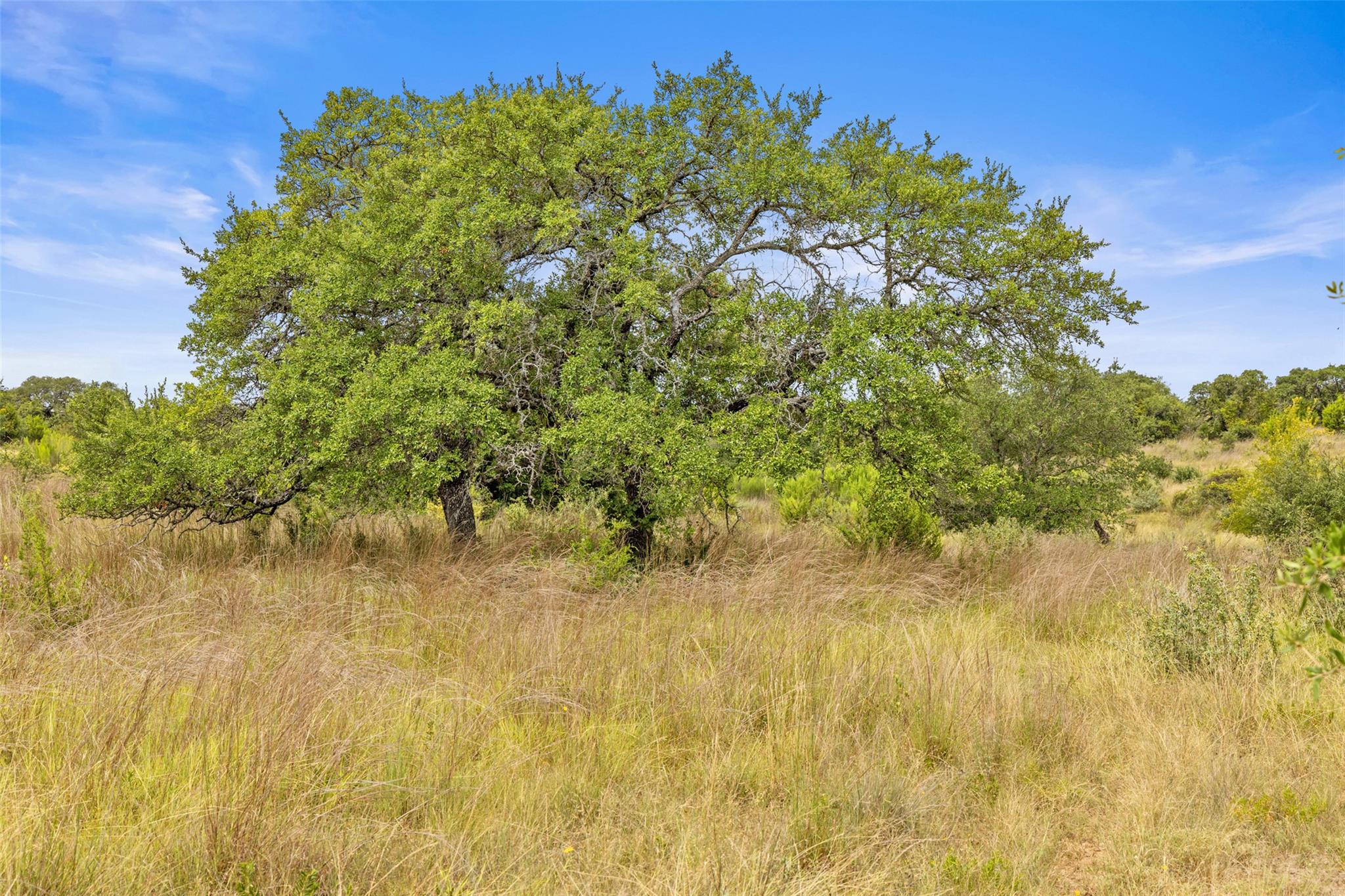 Image 13 of 40 For 1198 Walnut Springs Rd