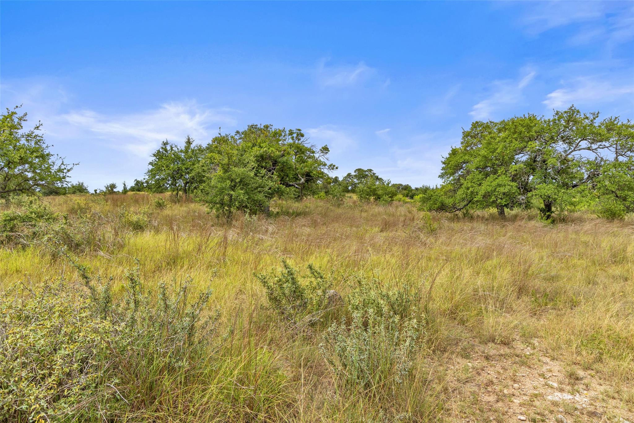 Image 14 of 40 For 1198 Walnut Springs Rd