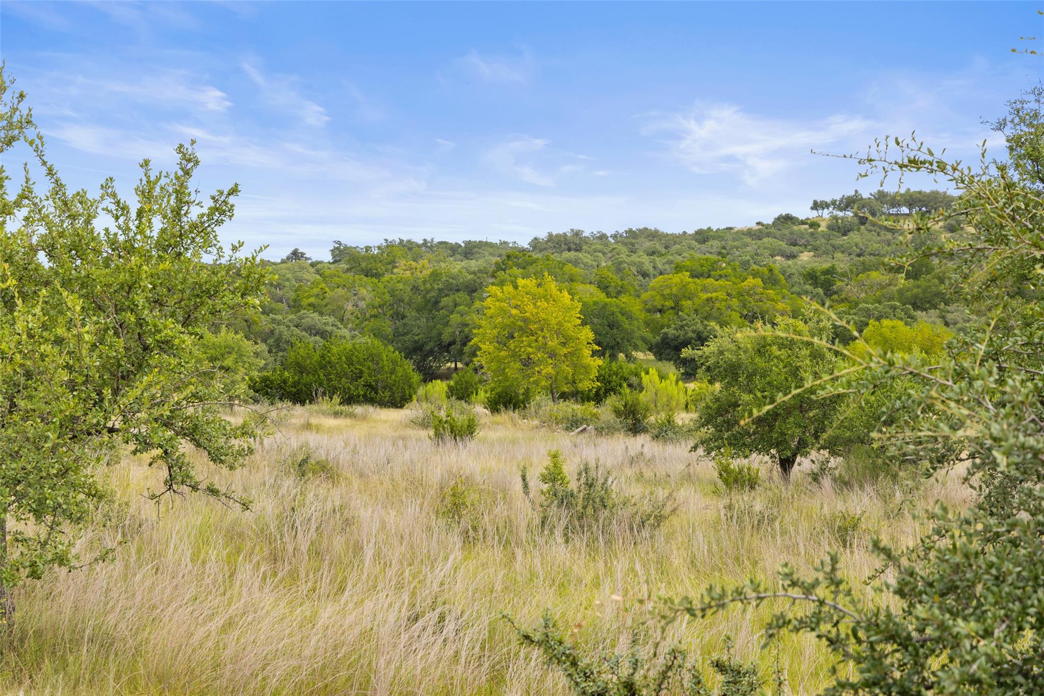 Image 17 of 40 For 1198 Walnut Springs Rd