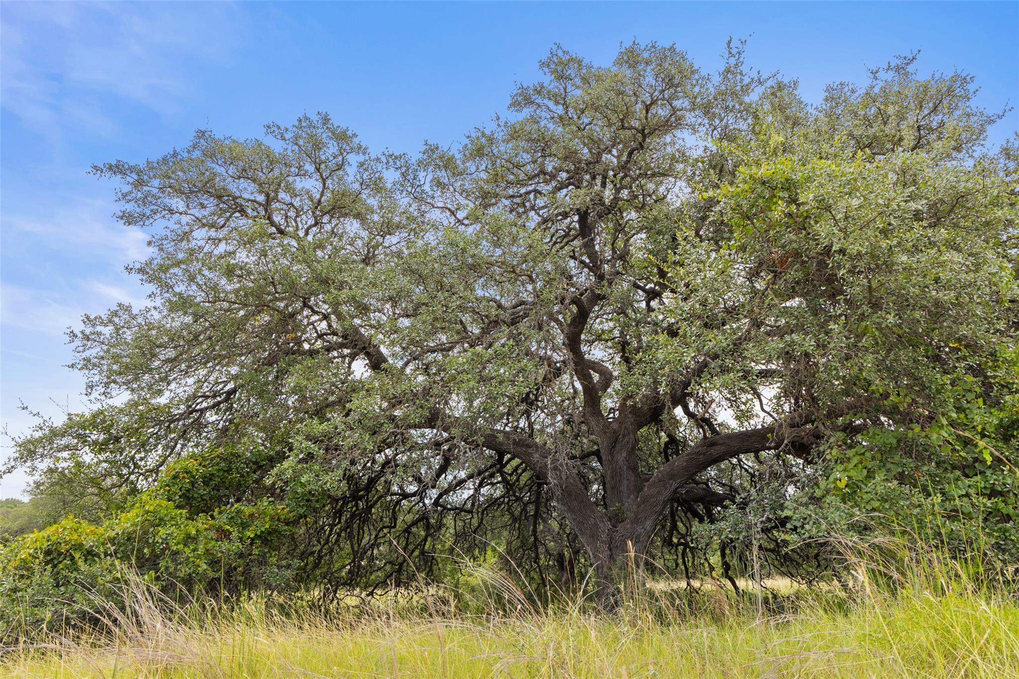 Image 18 of 40 For 1198 Walnut Springs Rd