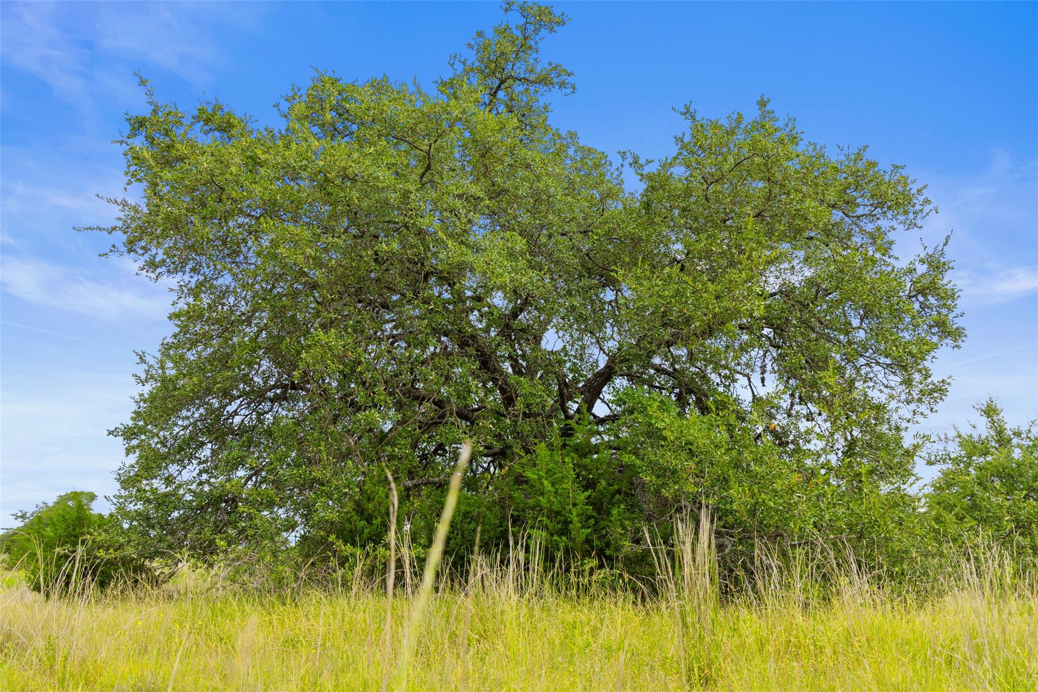 Image 22 of 40 For 1198 Walnut Springs Rd