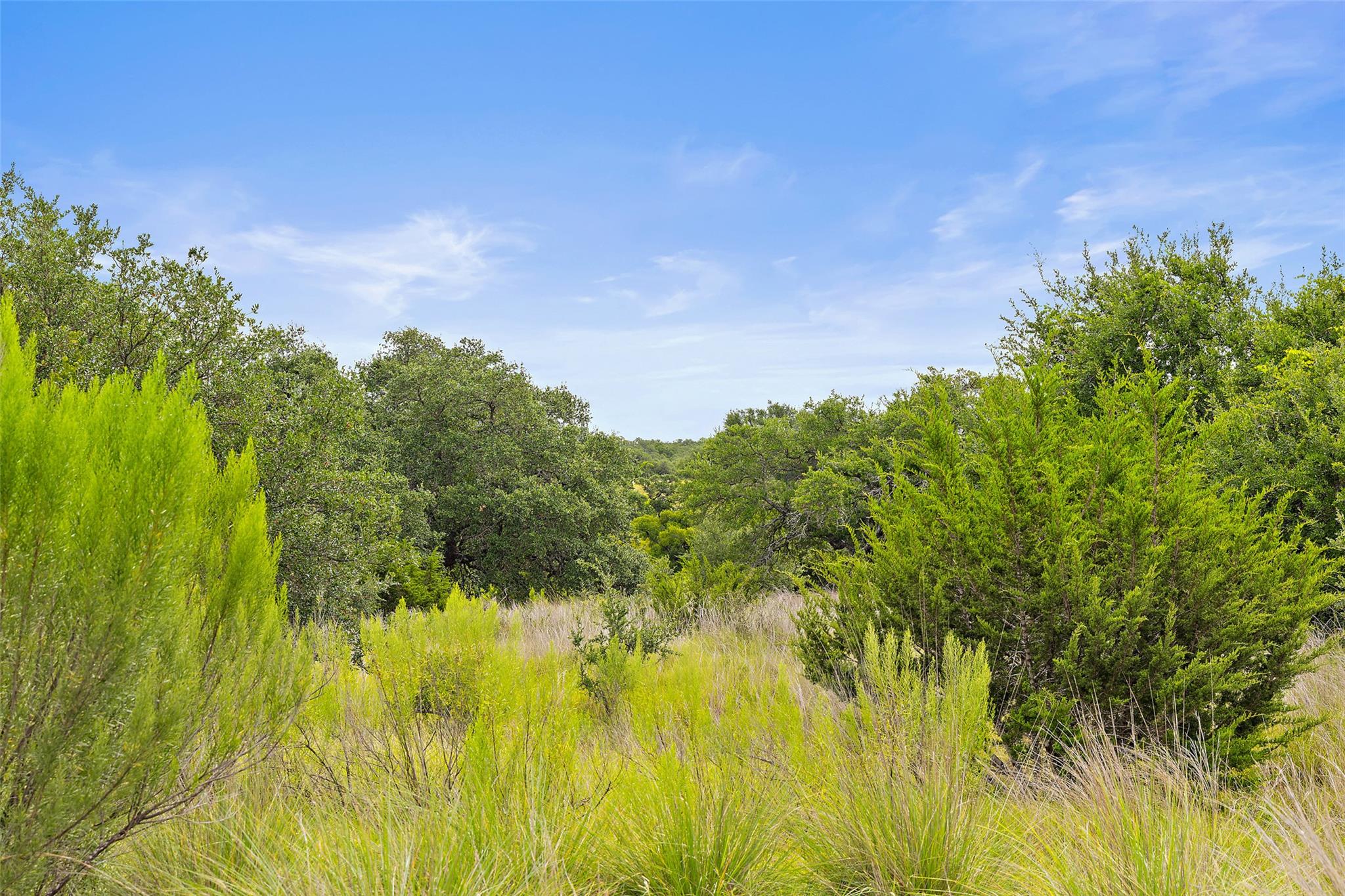 Image 24 of 40 For 1198 Walnut Springs Rd