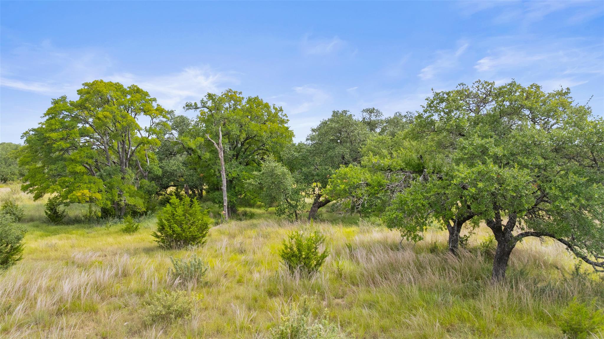 Image 29 of 40 For 1198 Walnut Springs Rd