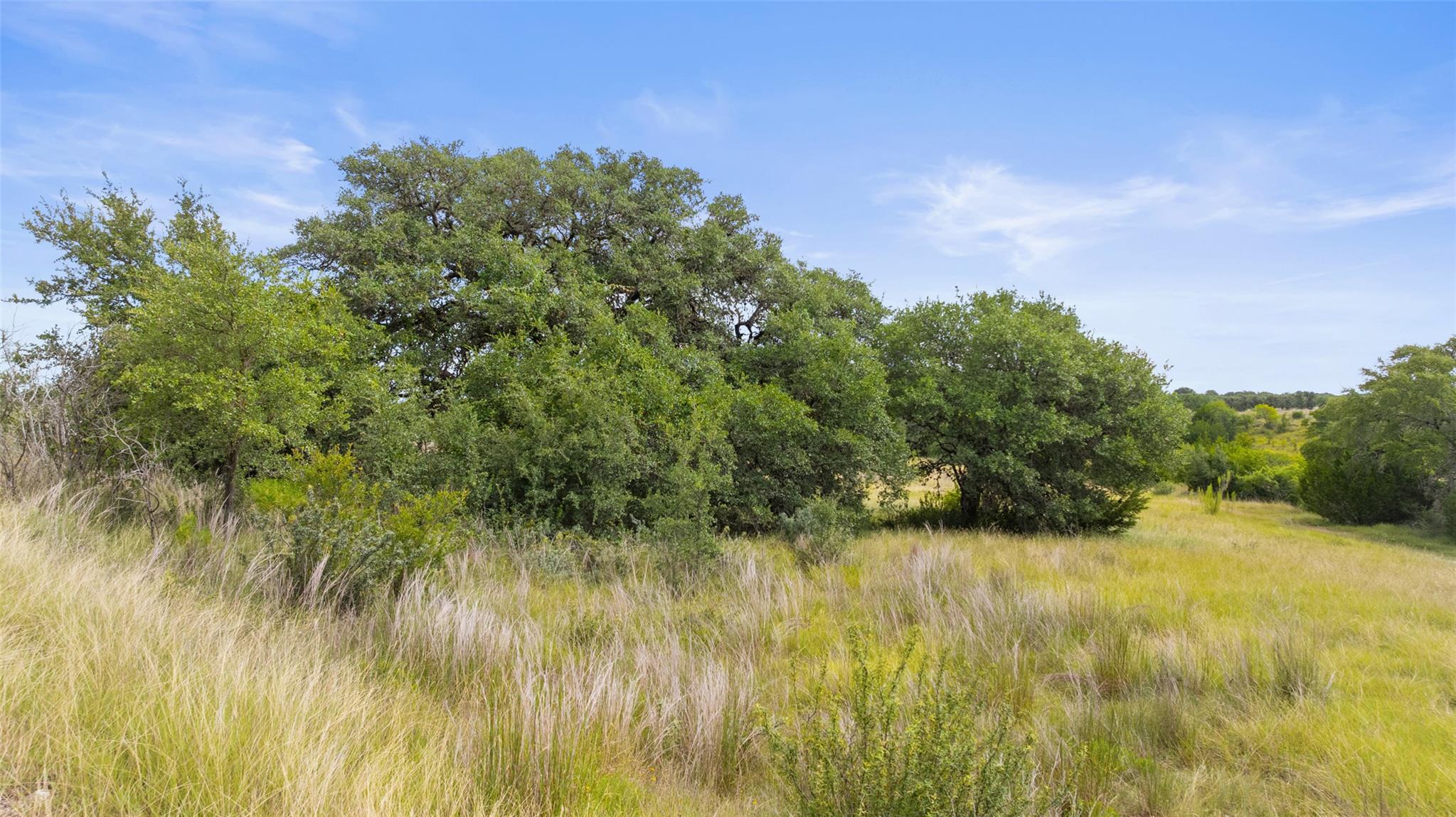 Image 31 of 40 For 1198 Walnut Springs Rd