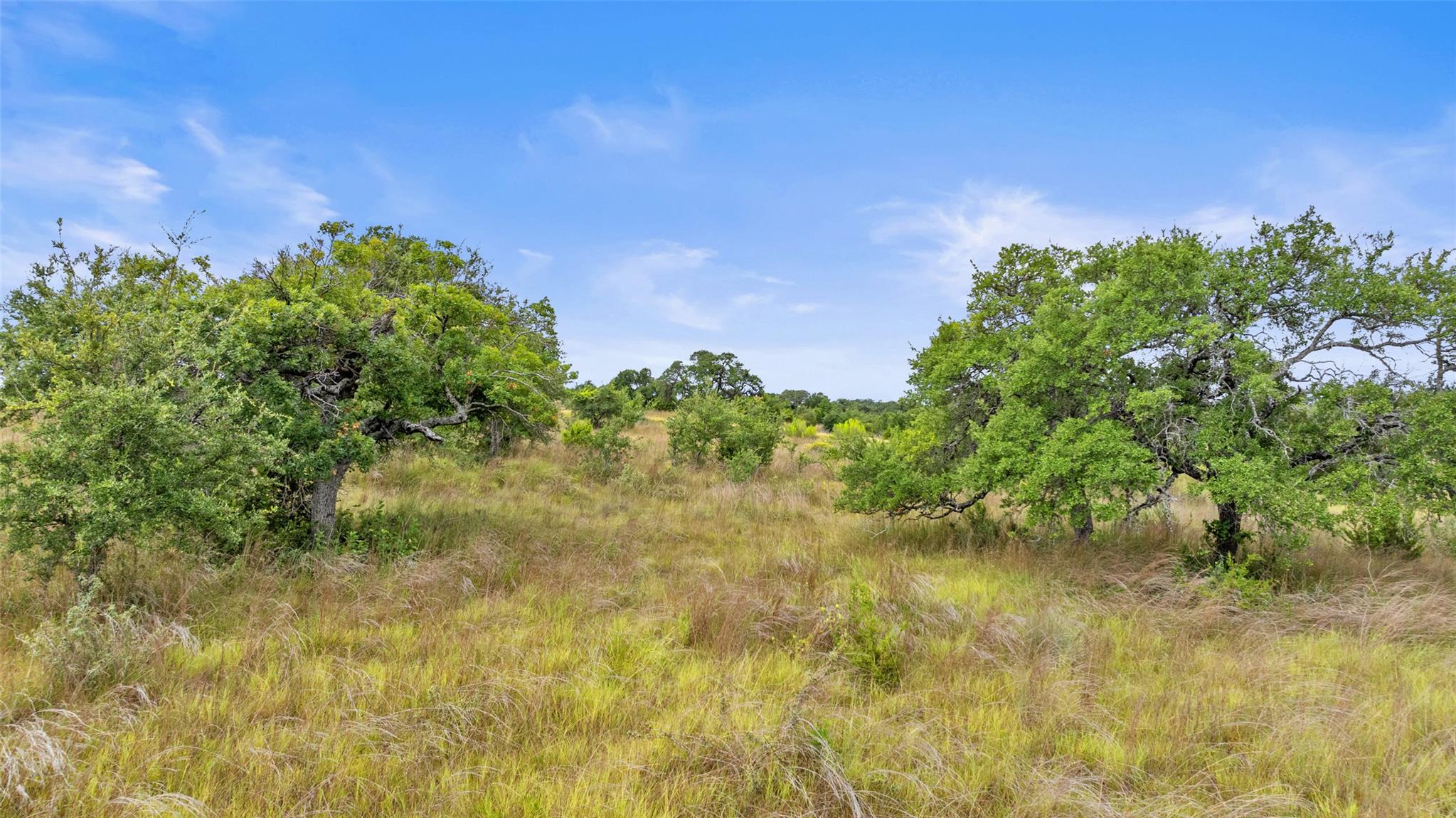 Image 9 of 40 For 1198 Walnut Springs Rd