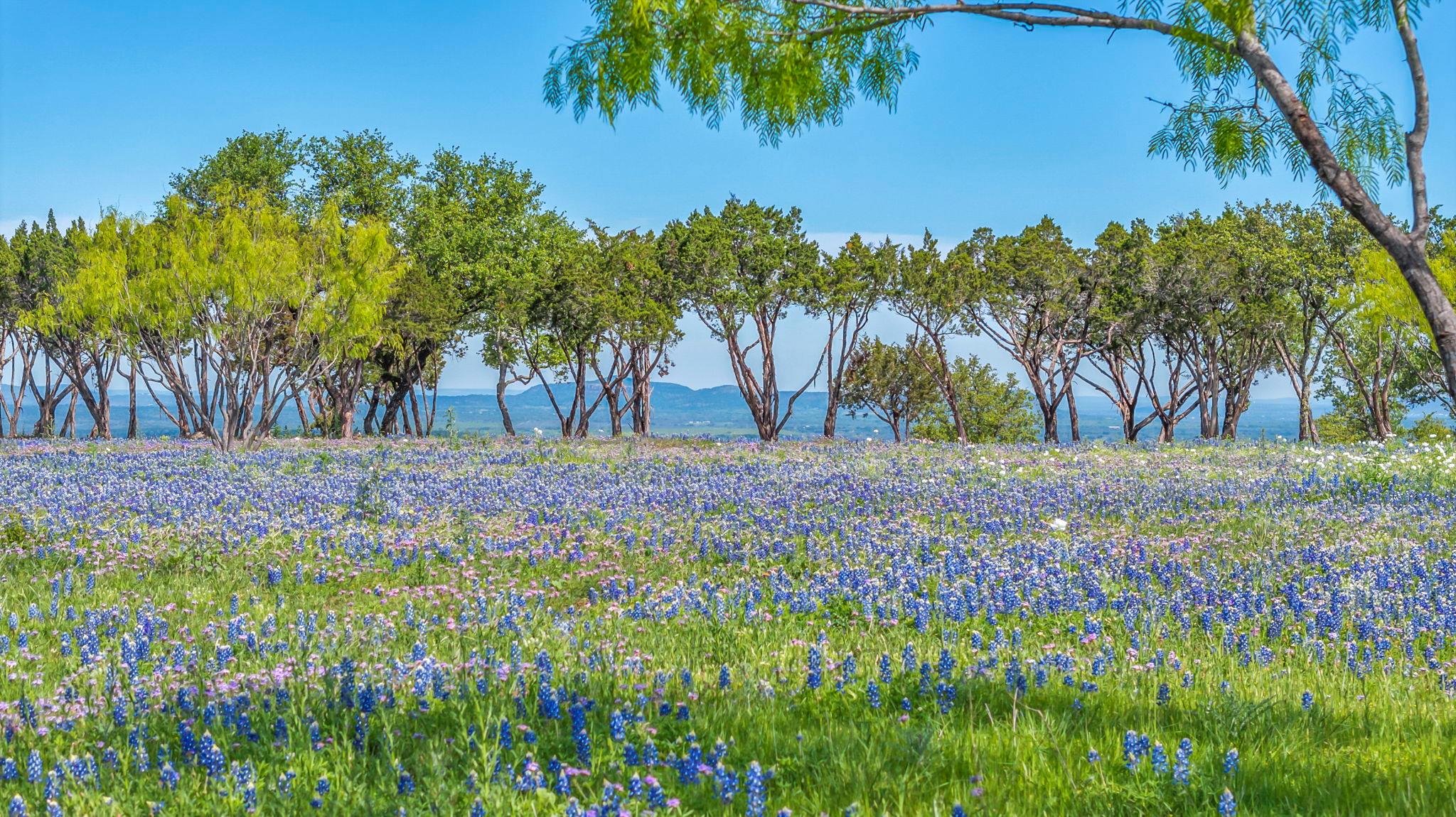 Image 6 of 14 For 3531 Rr 3347 - Lot 11