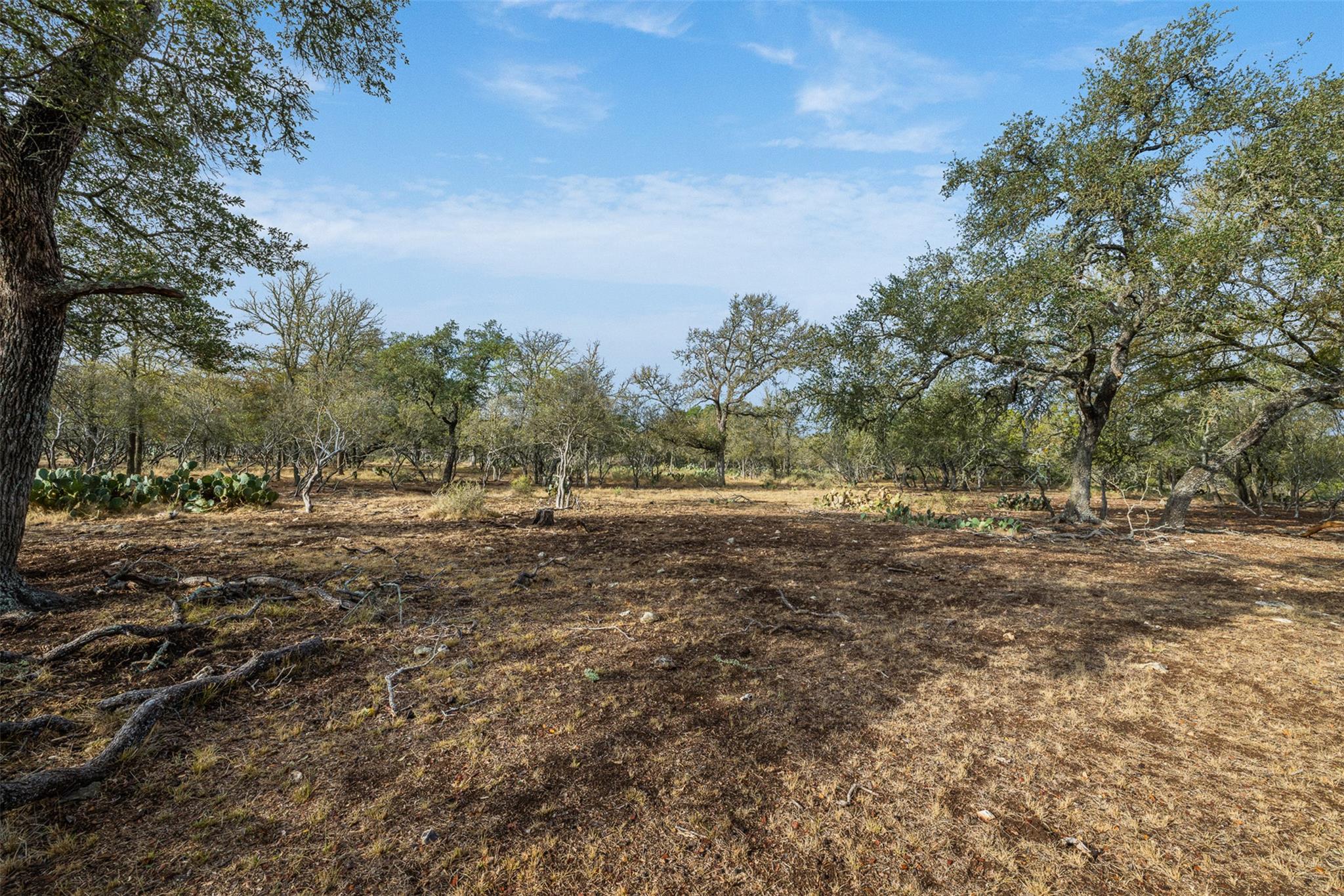 Image 30 of 33 For 3801 Fm 150  