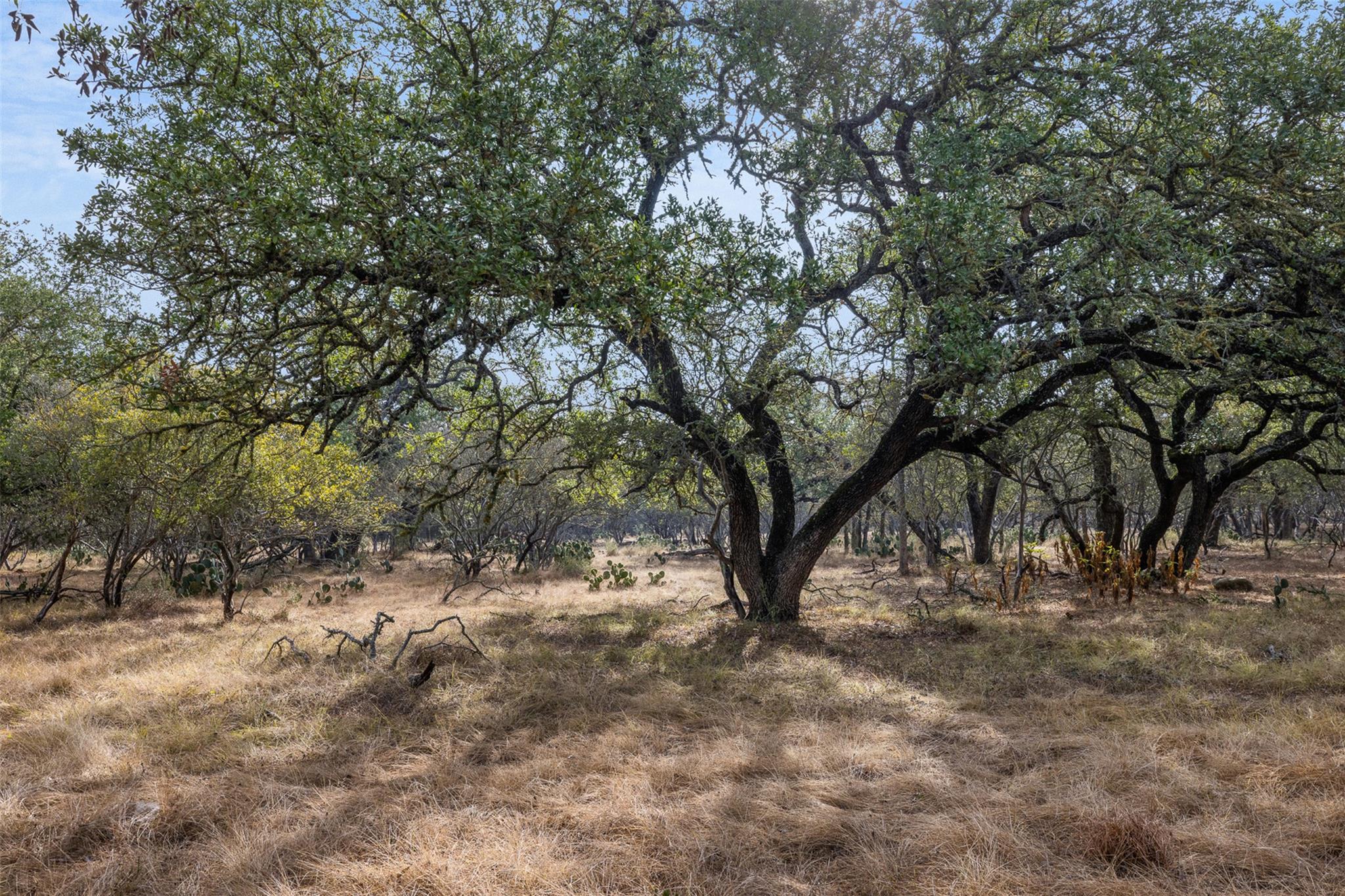 Image 31 of 33 For 3801 Fm 150  