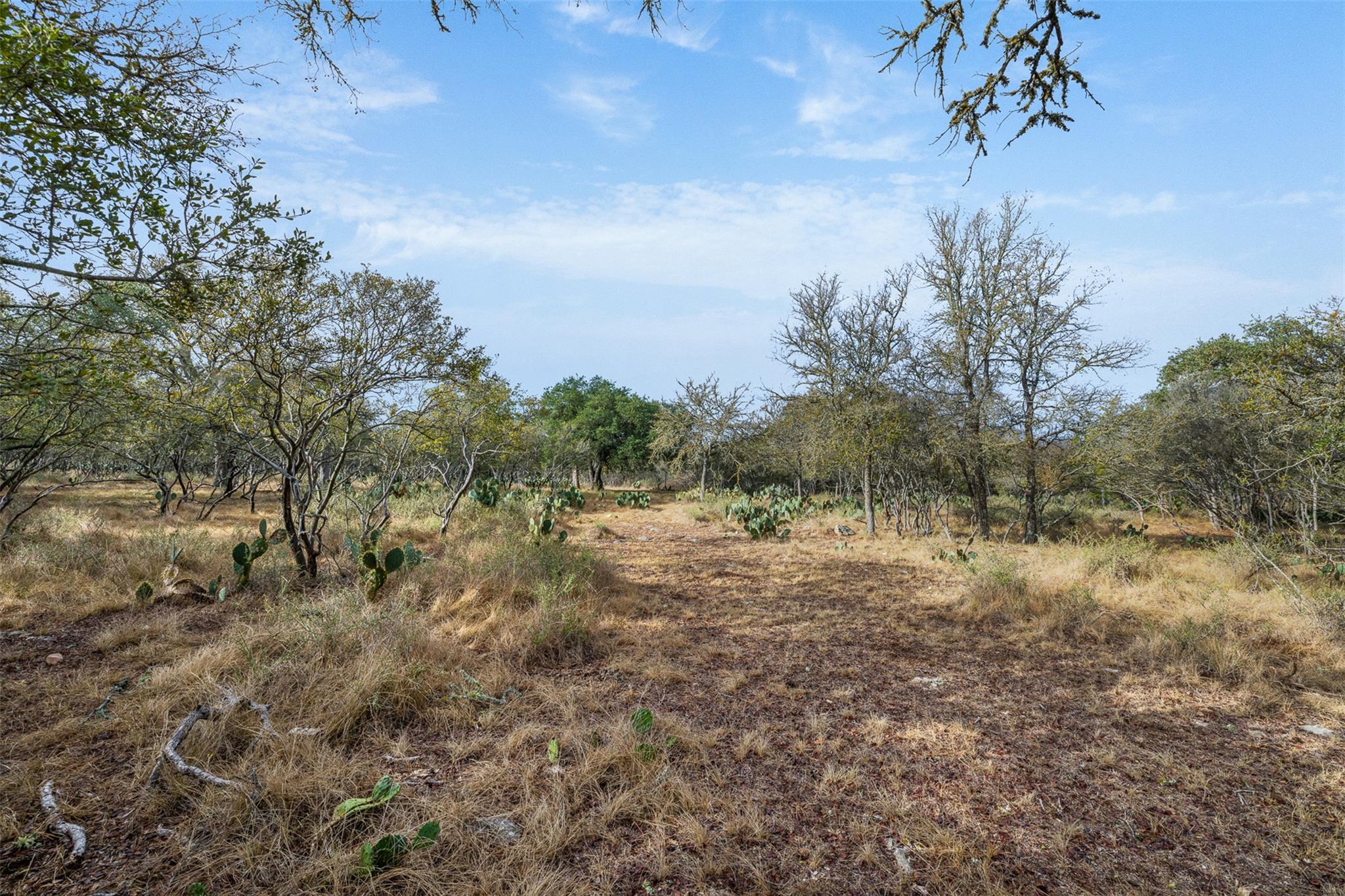 Image 32 of 33 For 3801 Fm 150  