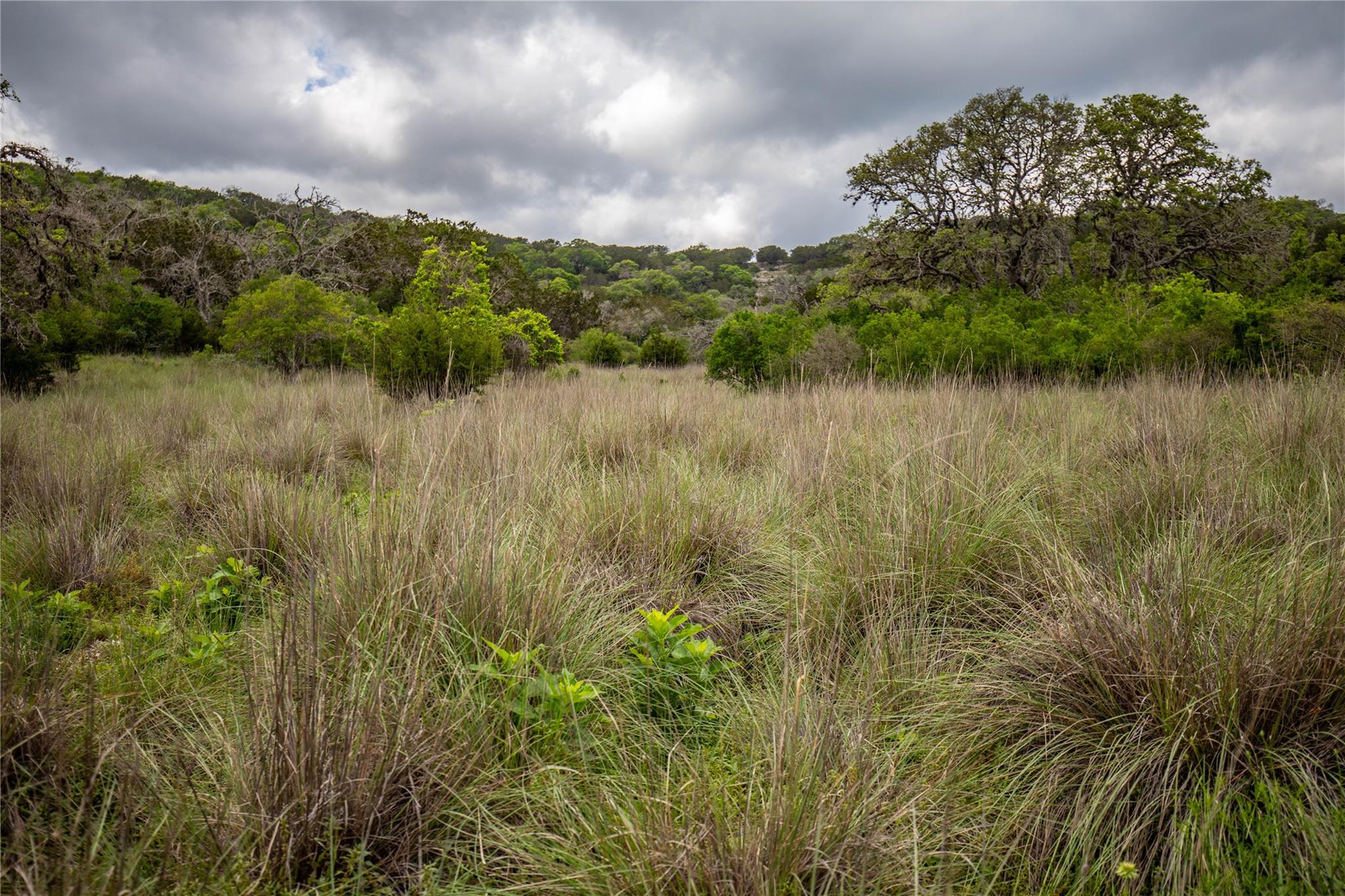 Image 14 of 29 For 275 Hasenwinkel Rd Lot 3