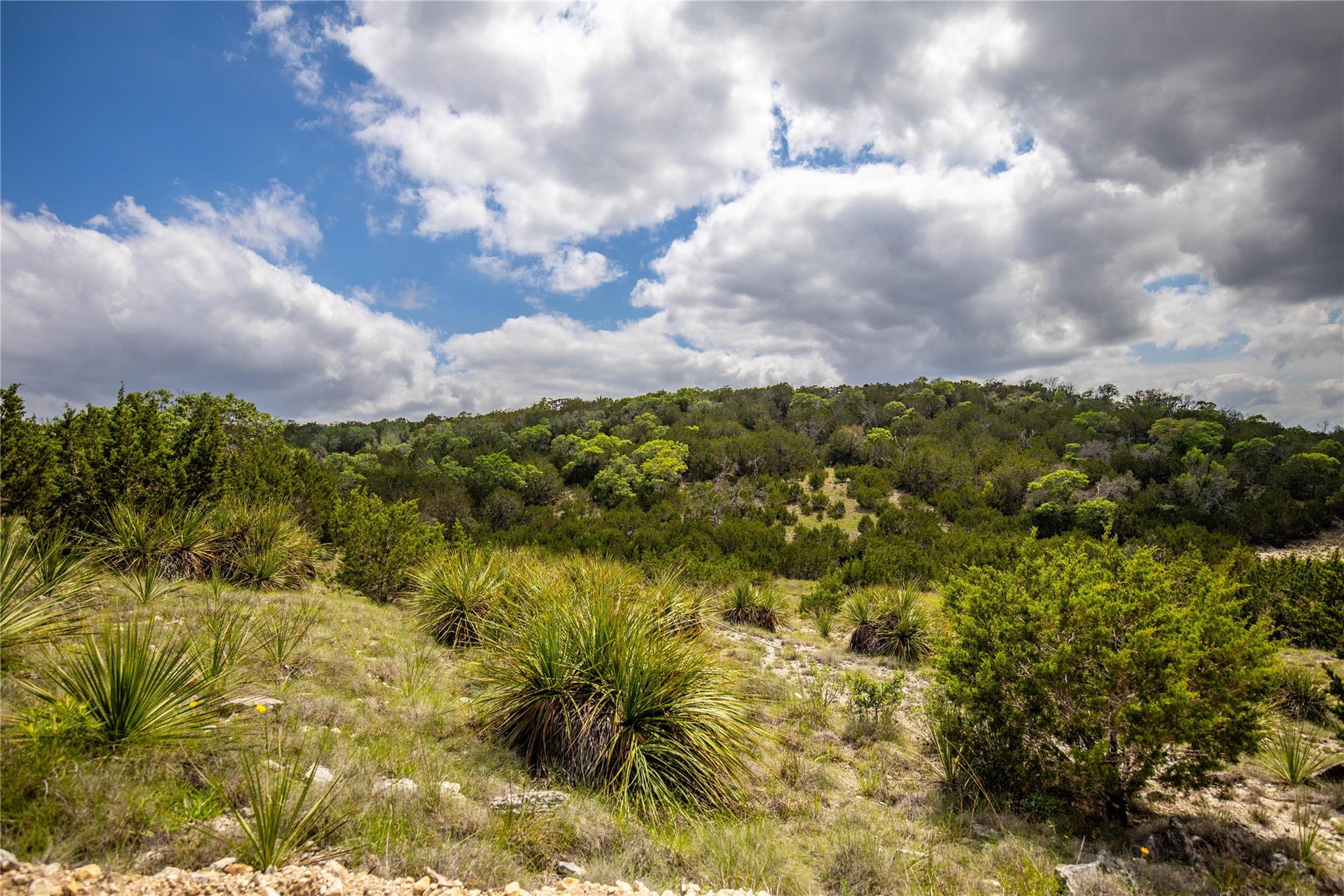 Image 16 of 29 For 275 Hasenwinkel Rd Lot 3