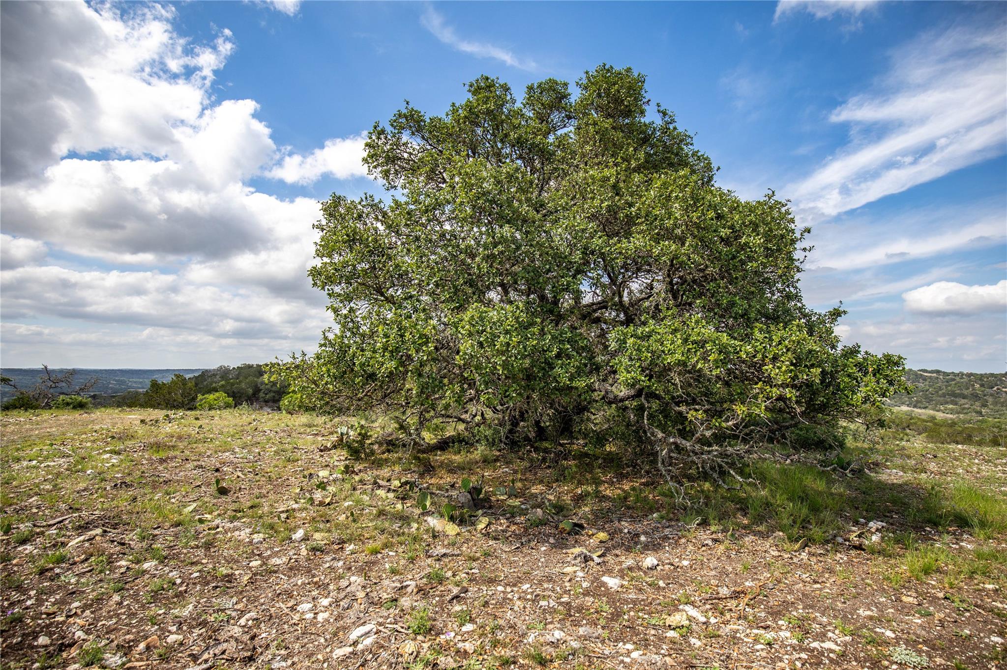 Image 20 of 29 For 275 Hasenwinkel Rd Lot 3