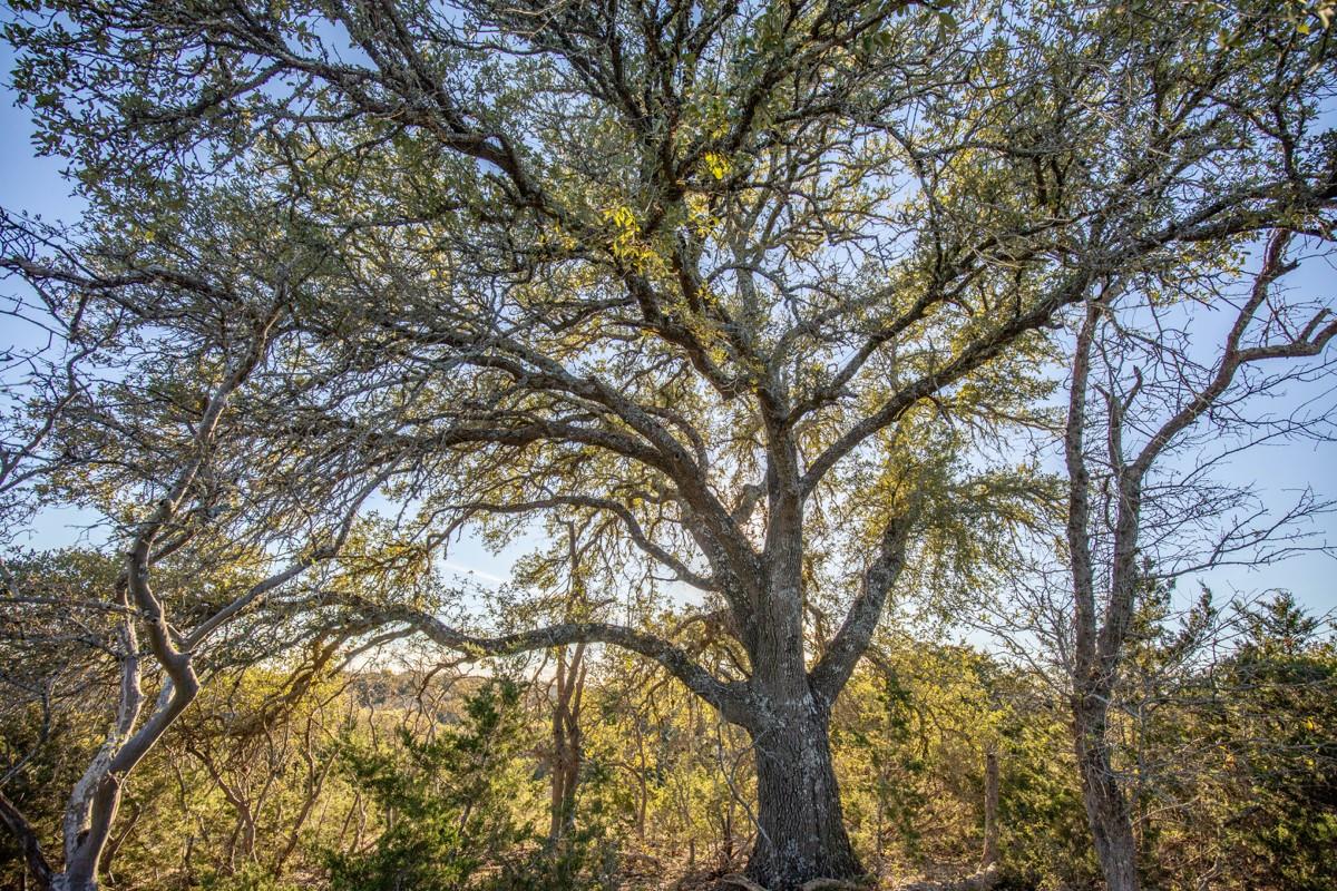 Image 22 of 29 For 275 Hasenwinkel Rd Lot 3