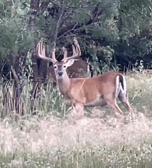 Image 28 of 29 For 275 Hasenwinkel Rd Lot 3