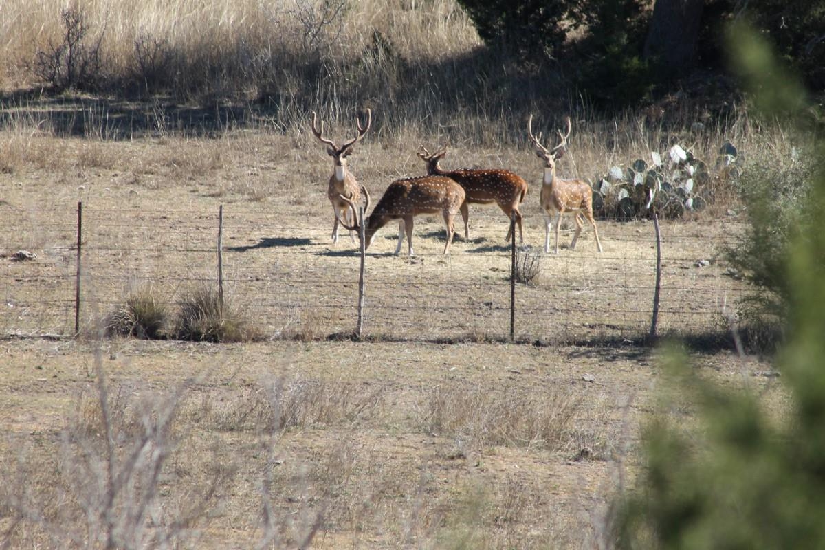 Image 29 of 29 For 275 Hasenwinkel Rd Lot 3