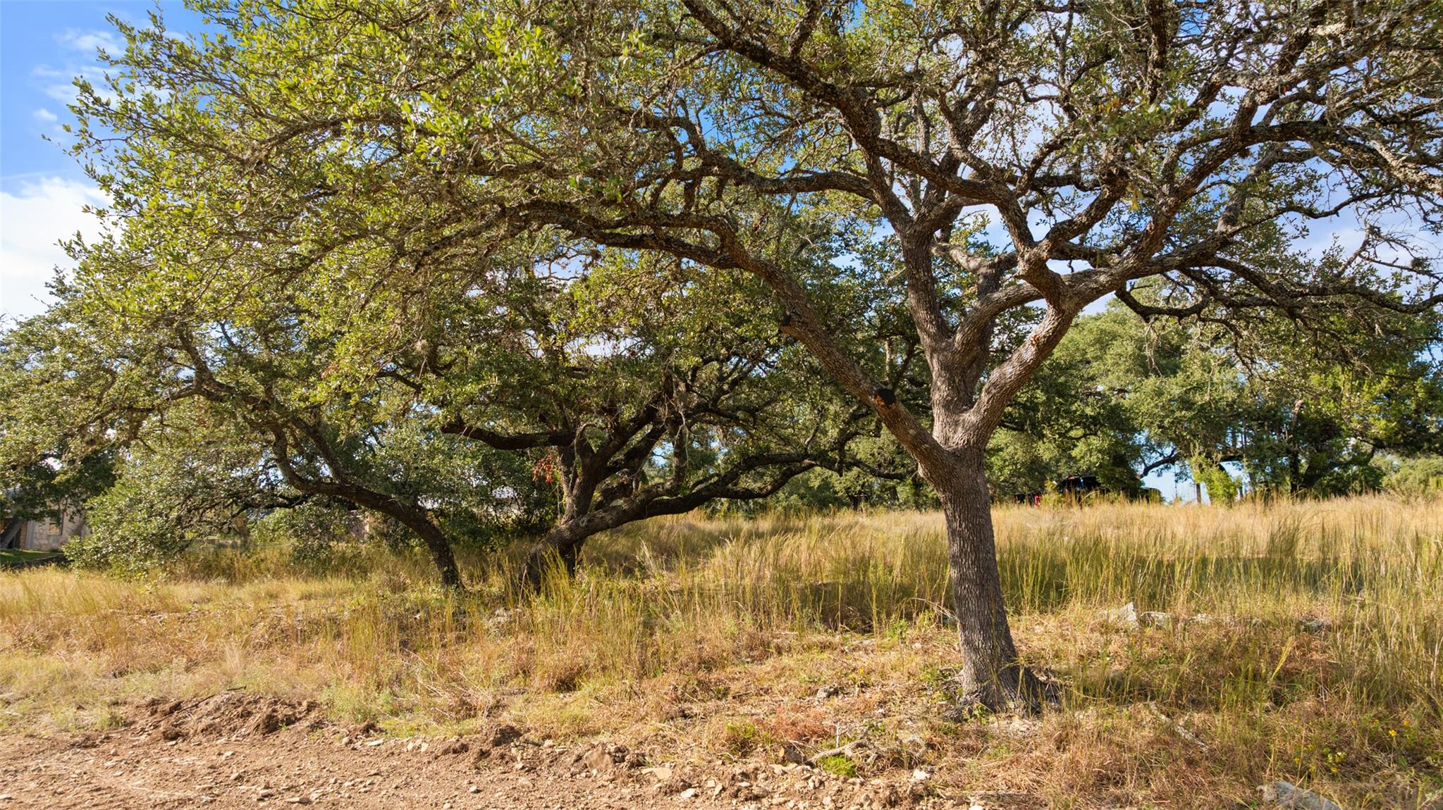 Image 14 of 19 For 5776 Fm 165  