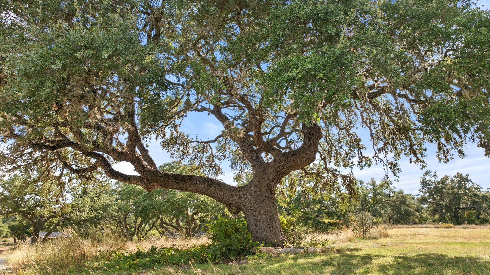 Image 8 of 19 For 5776 Fm 165  