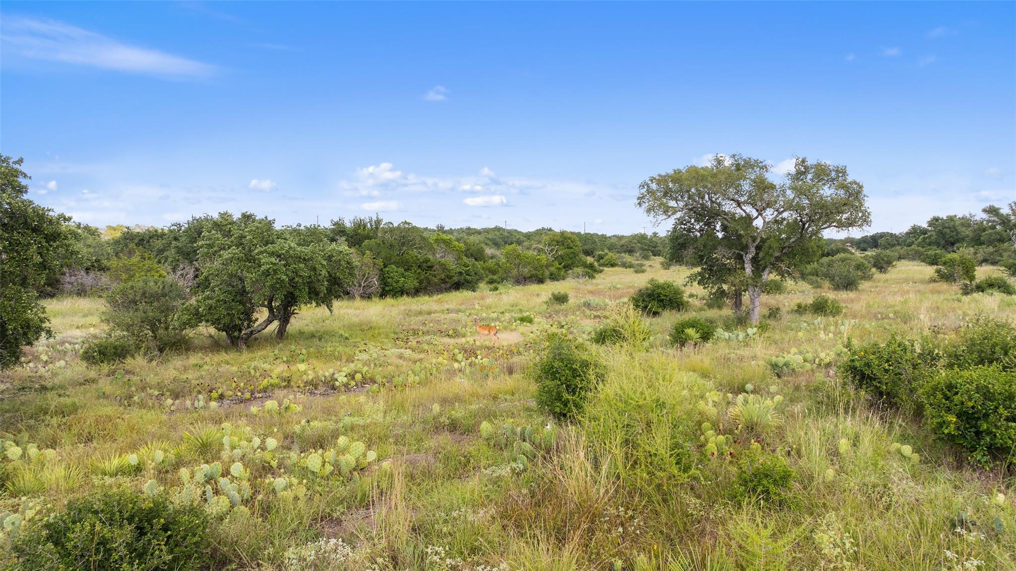 Details for Tbd Rr 962 , Round Mountain, TX 78663