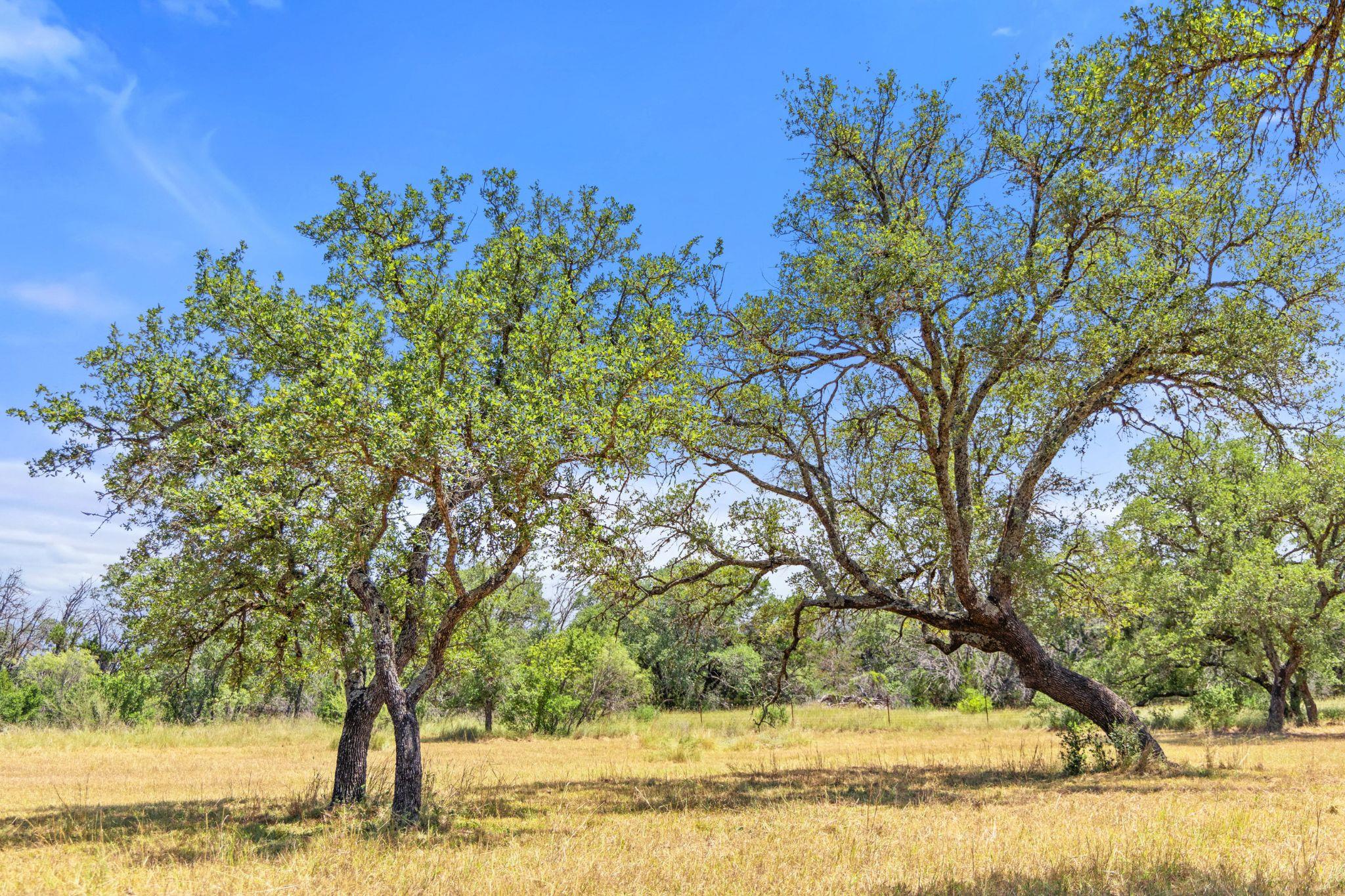 Image 11 of 22 For Lot 17 Stonegate Ct