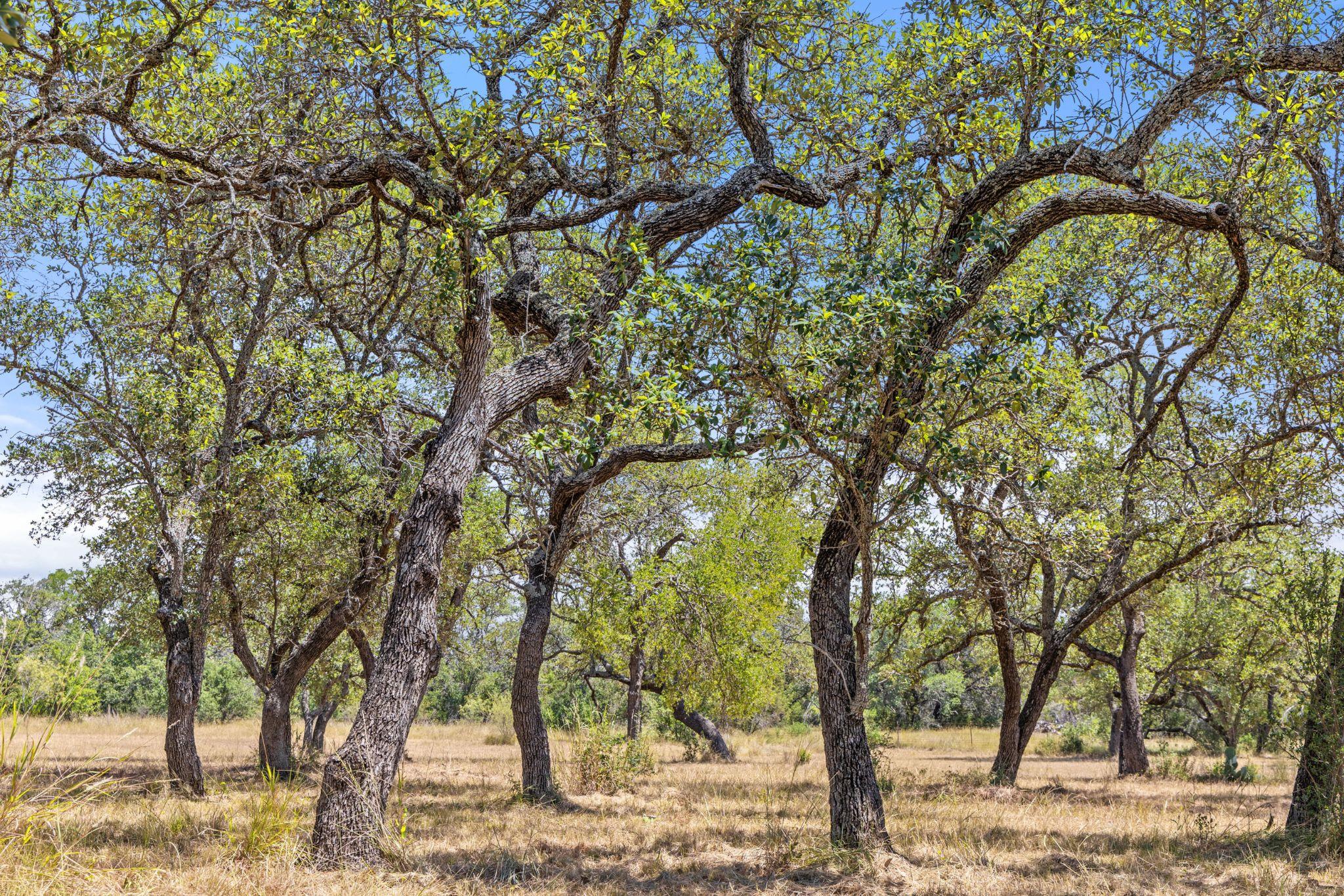 Image 12 of 22 For Lot 17 Stonegate Ct