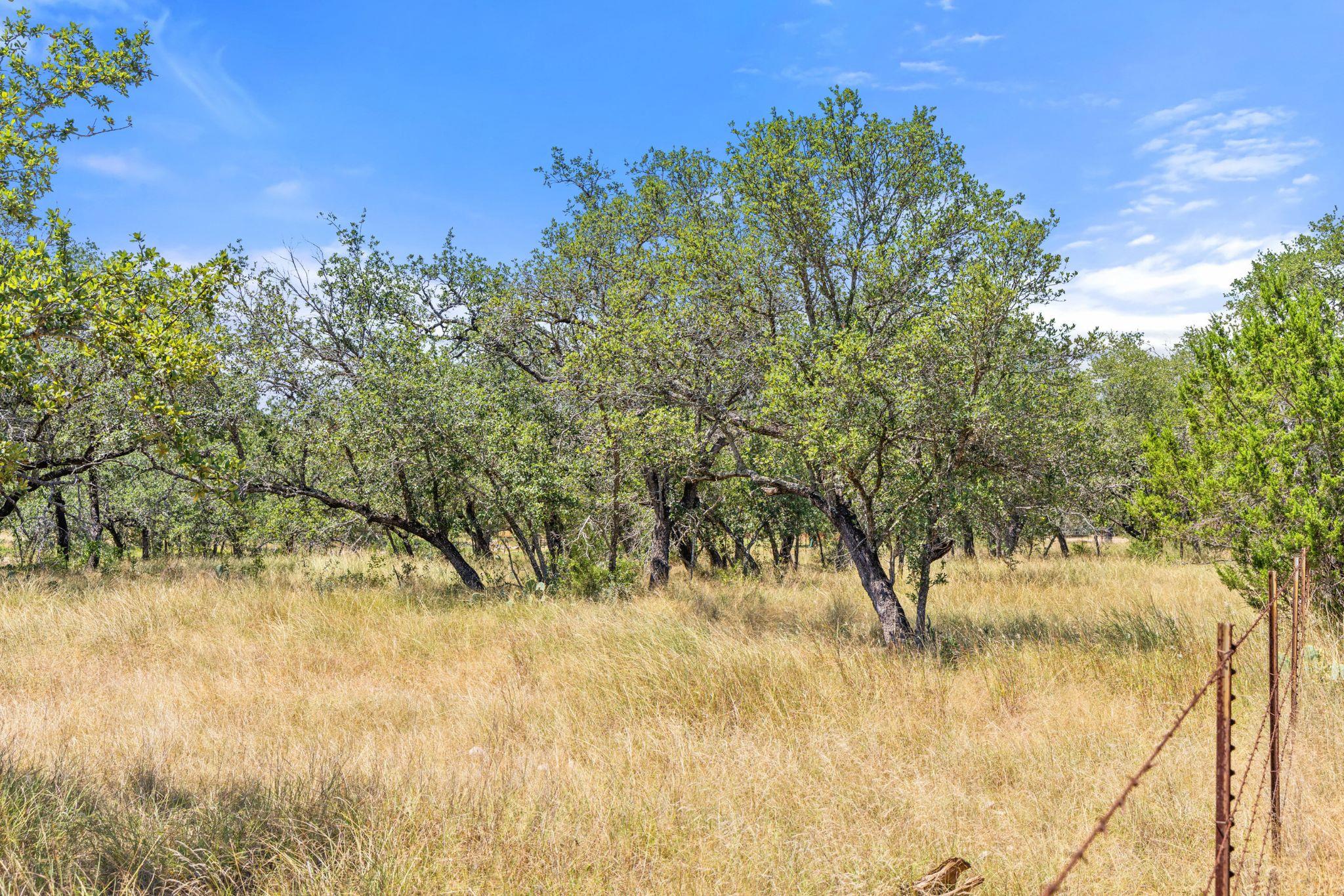 Image 16 of 22 For Lot 17 Stonegate Ct