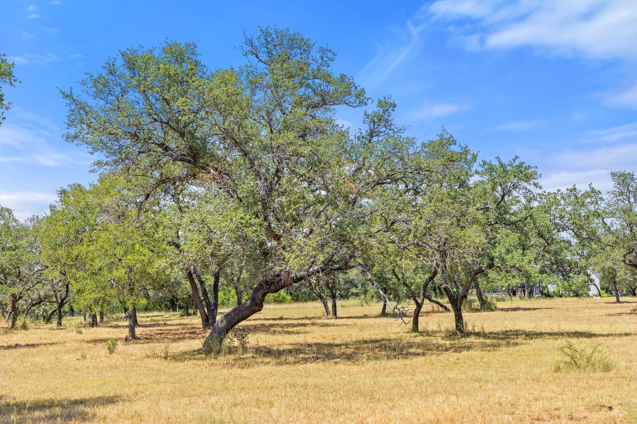 Image 7 of 22 For Lot 17 Stonegate Ct