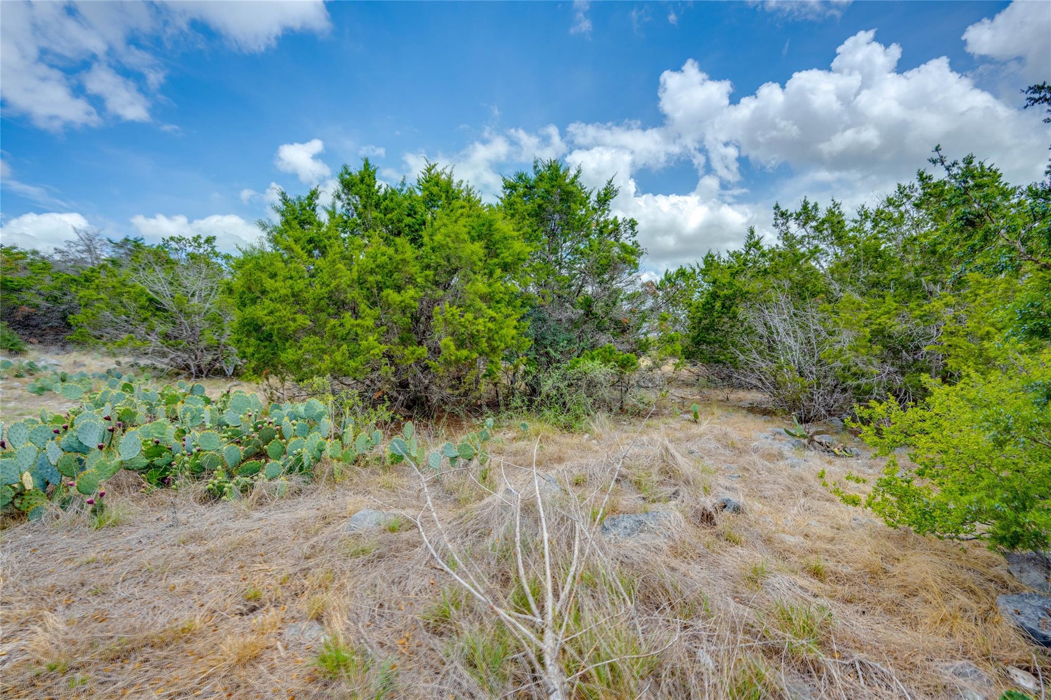 Image 6 of 20 For 328 Valley Ldg