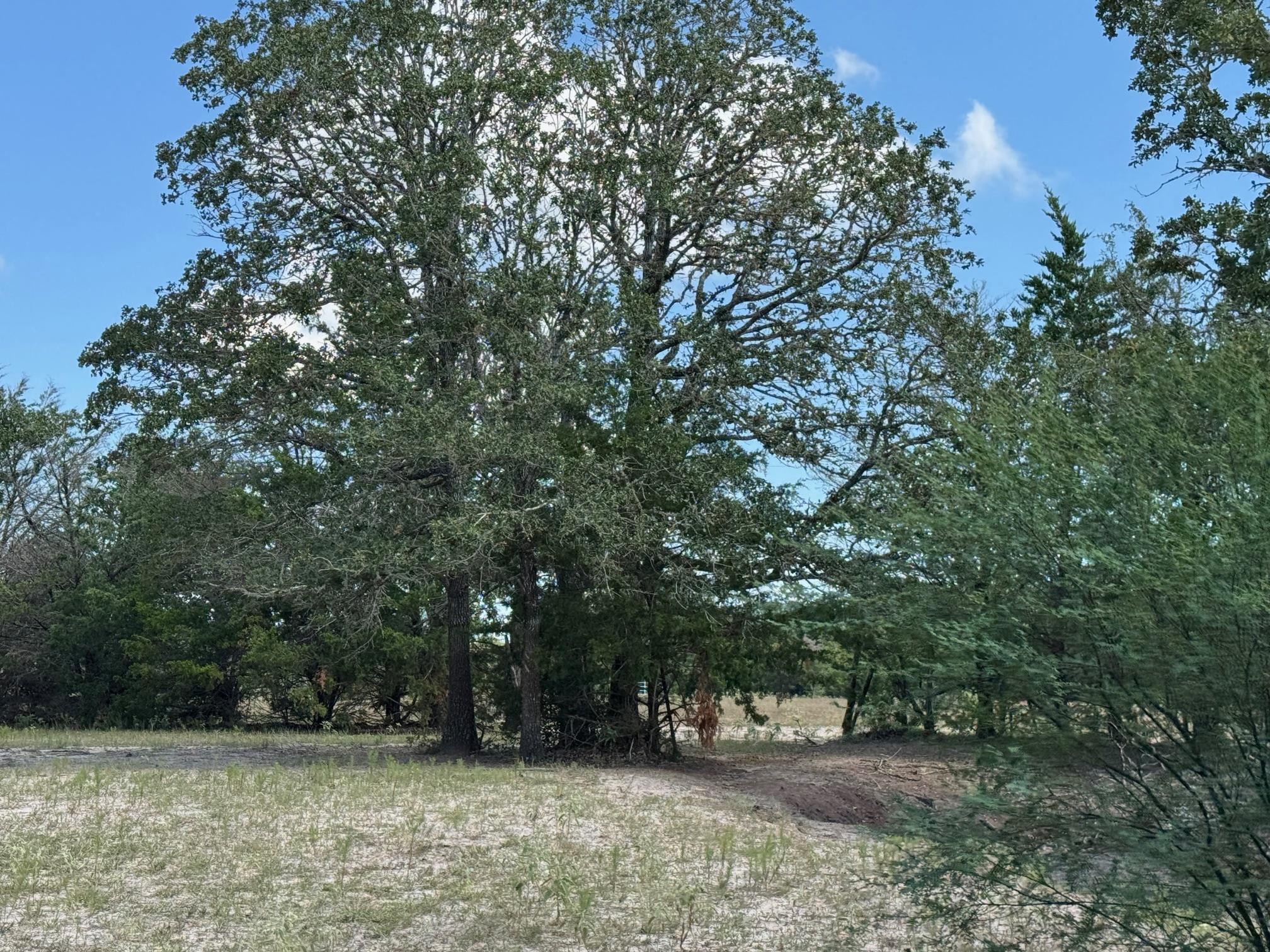 Image 14 of 15 For 13115 Schoenemann Rd