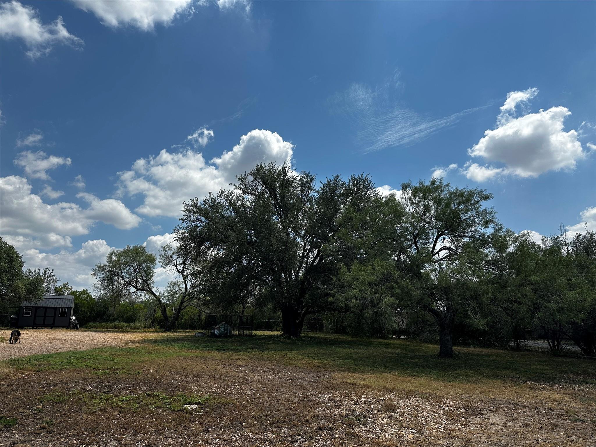 Image 25 of 26 For 7918 Dempsey St