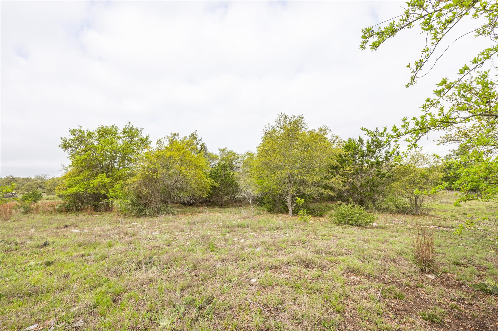 Image 9 of 25 For Tbd Logan's Way