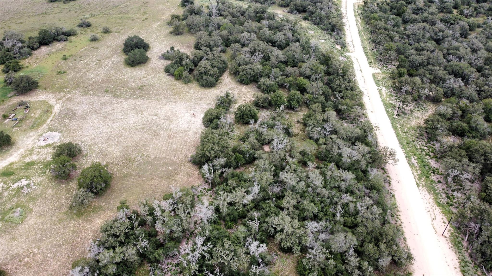 Image 2 of 8 For 320 Daisy Haven Ln