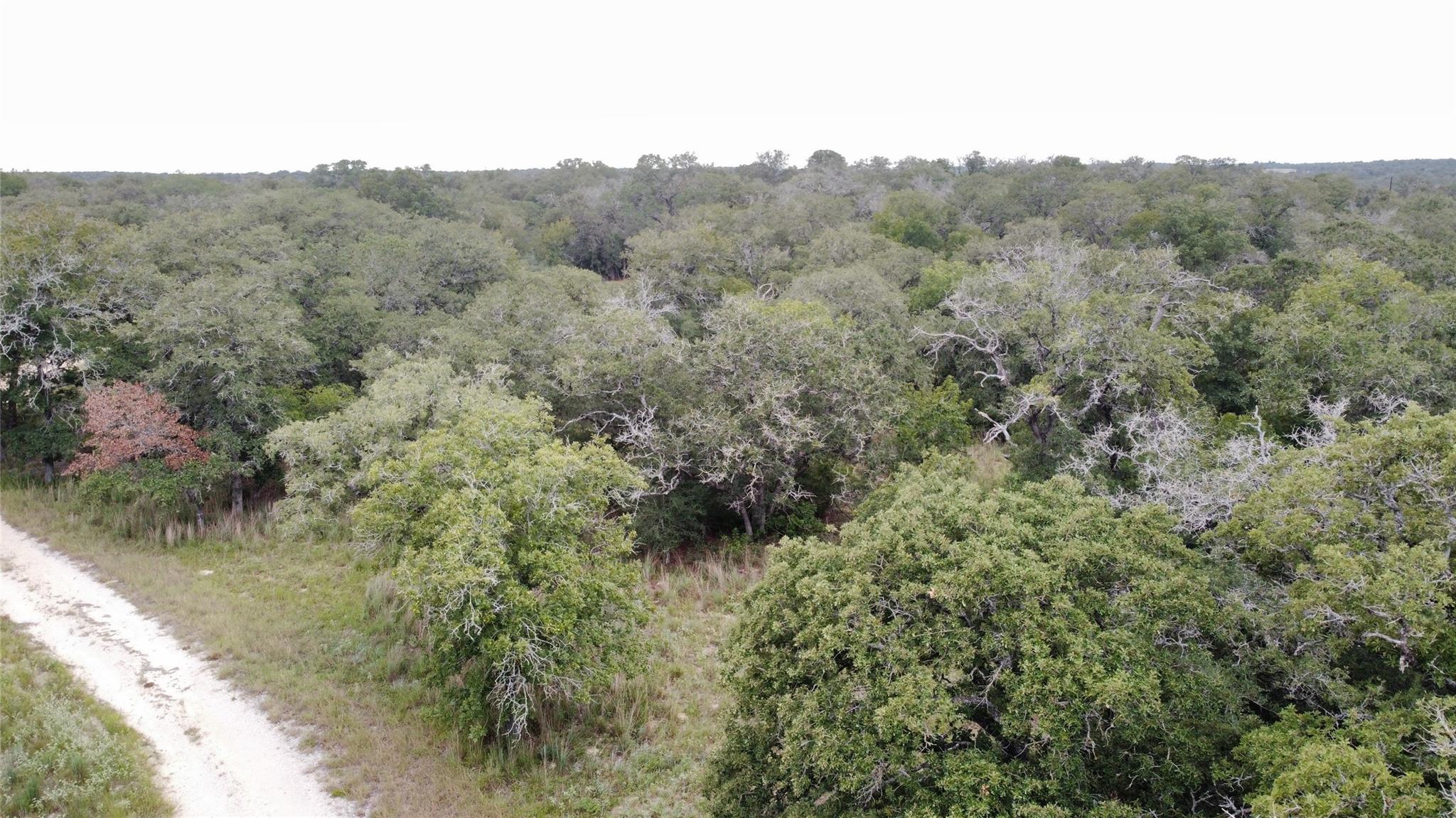 Image 4 of 8 For 320 Daisy Haven Ln