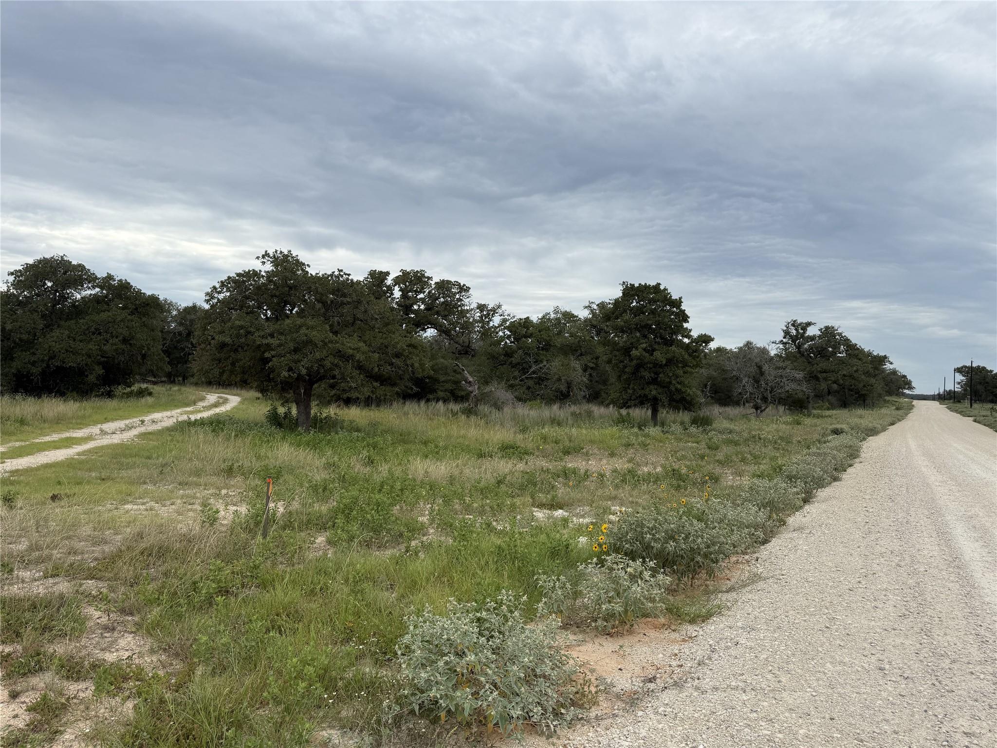 Image 5 of 8 For 320 Daisy Haven Ln