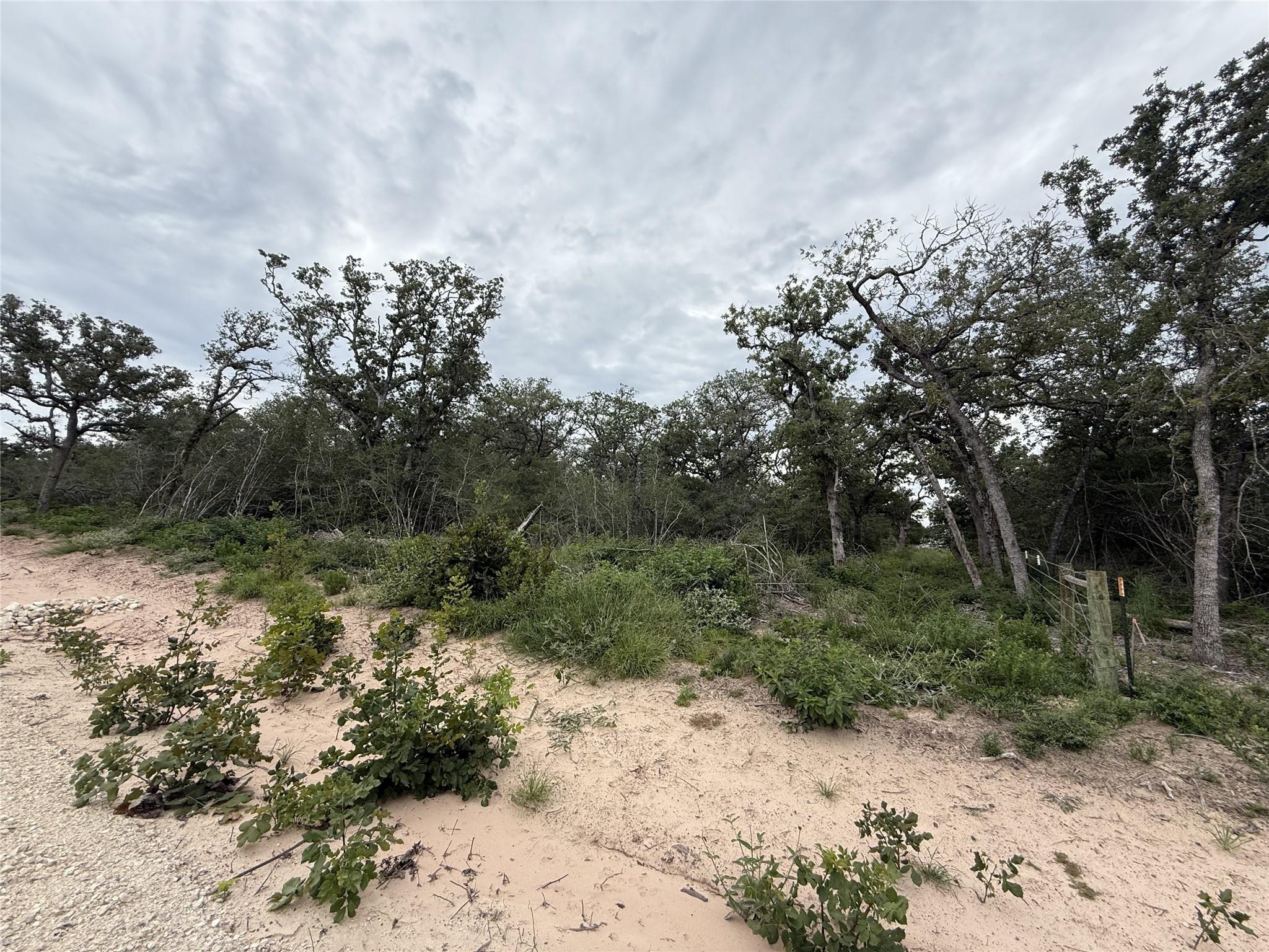 Image 6 of 8 For 320 Daisy Haven Ln