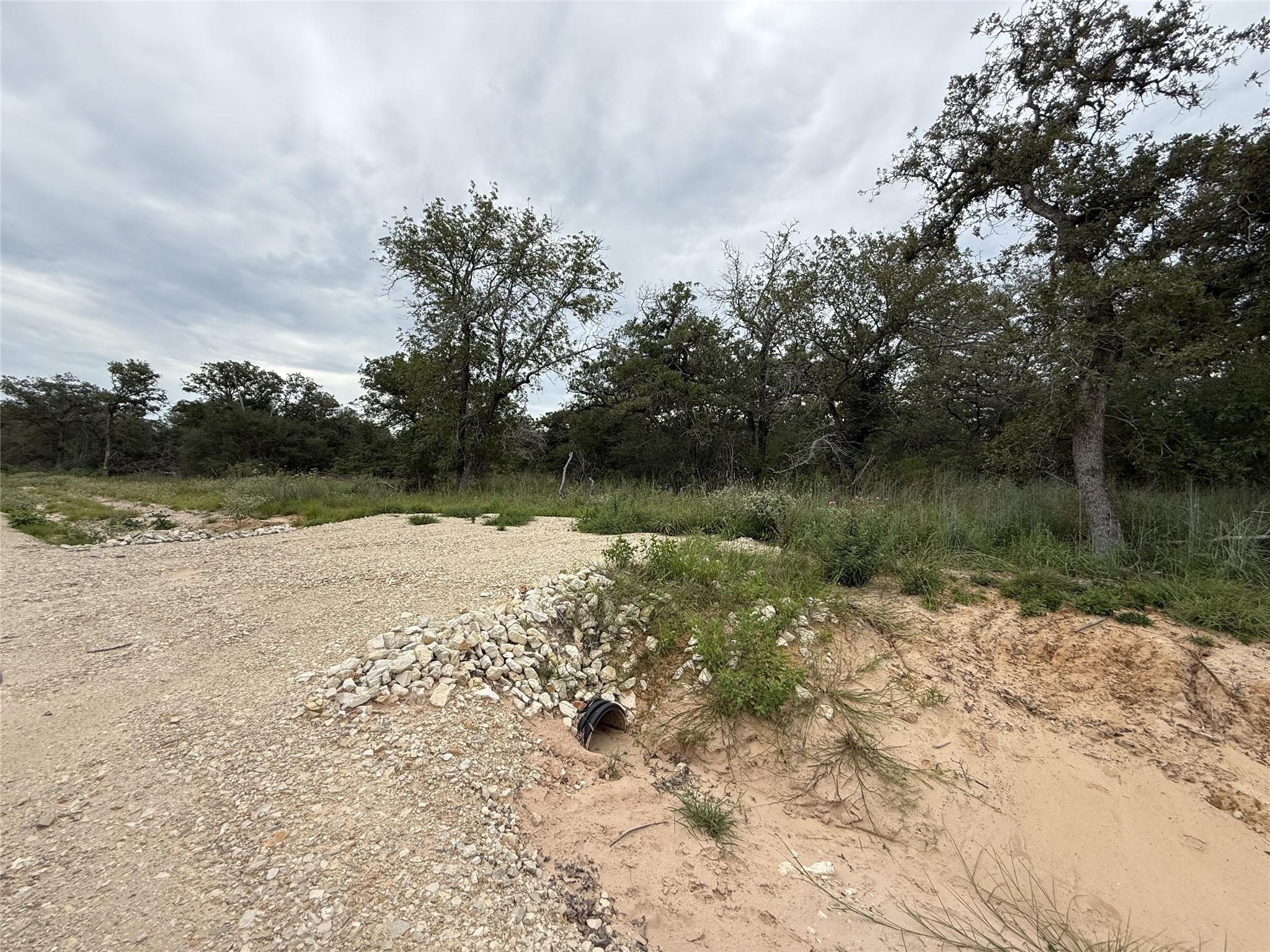 Image 7 of 8 For 320 Daisy Haven Ln