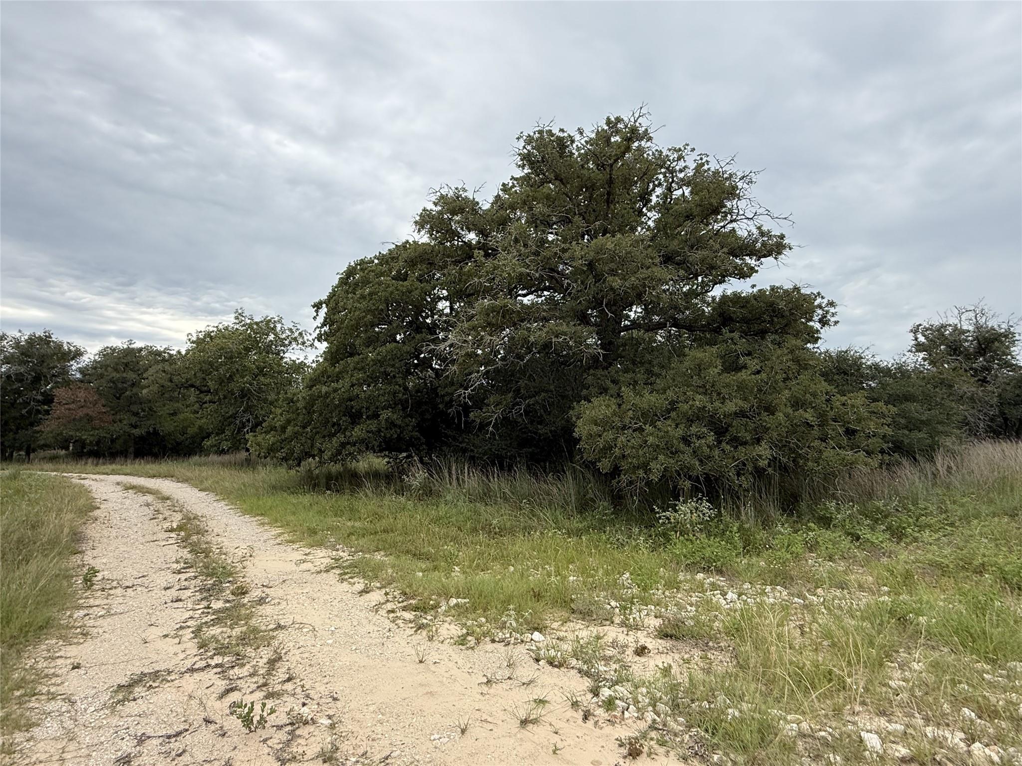 Image 8 of 8 For 320 Daisy Haven Ln