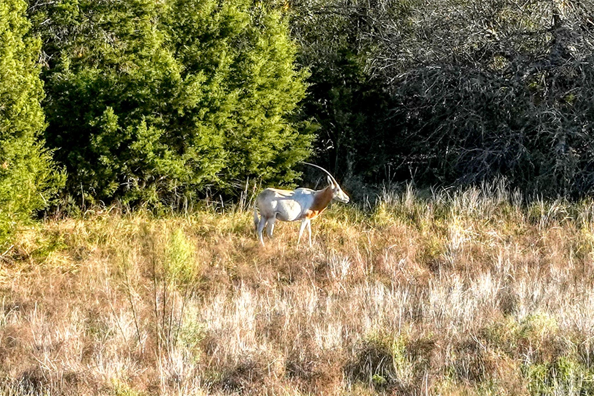 Image 14 of 26 For 136 & 137 Falling Oak Dr