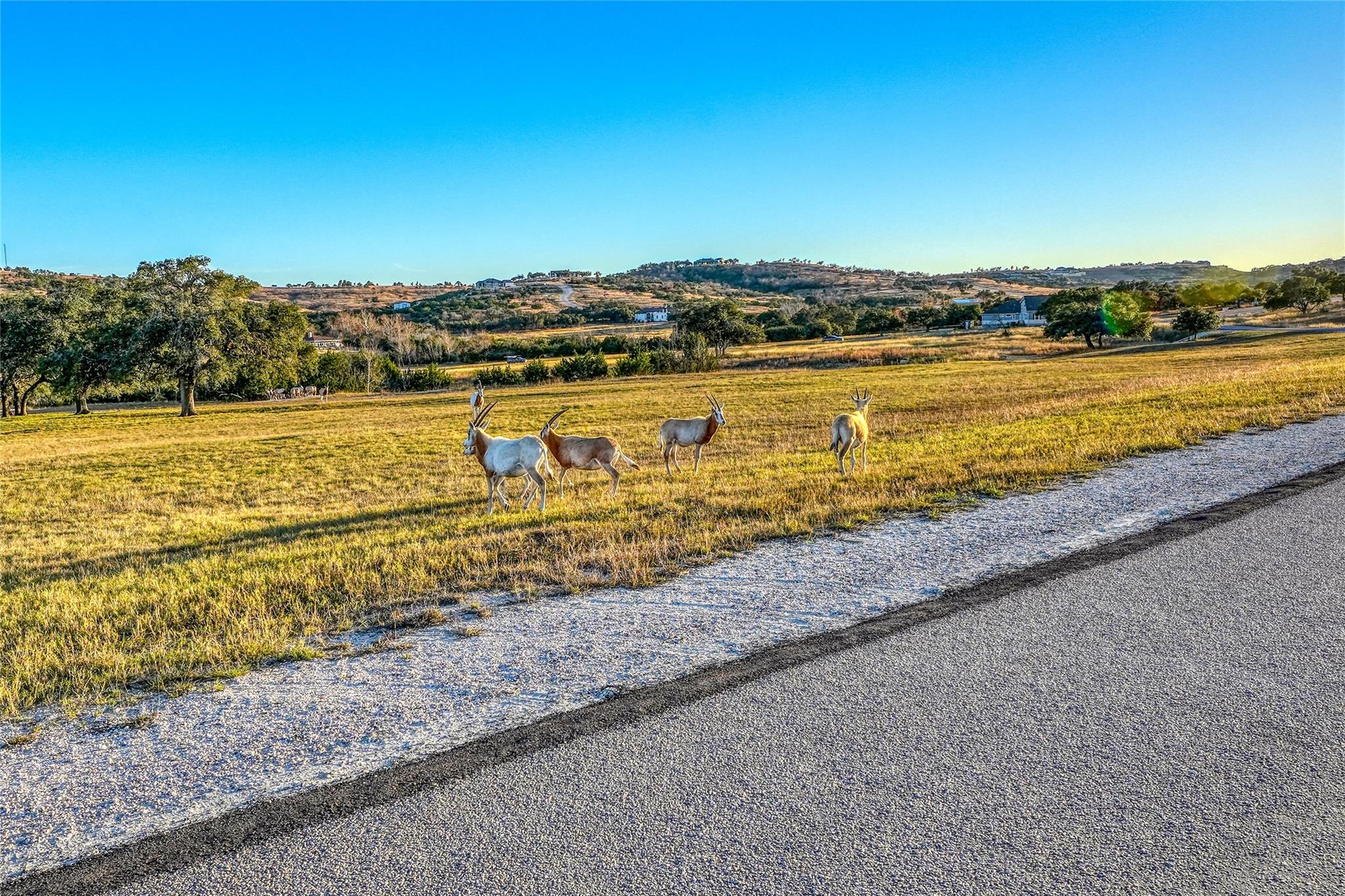 Image 15 of 26 For 136 & 137 Falling Oak Dr