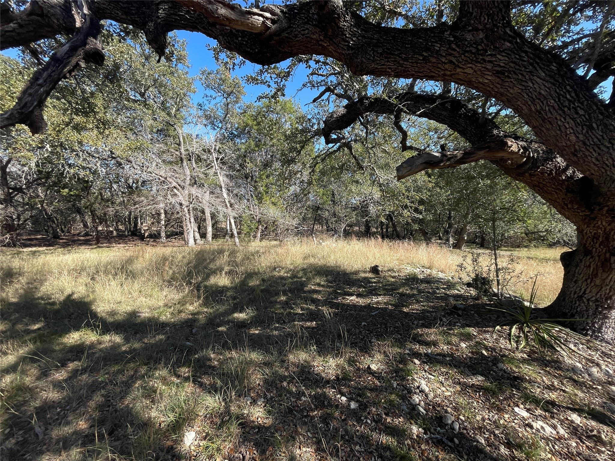 Details for Tbd Carney Ln, Wimberley, TX 78676