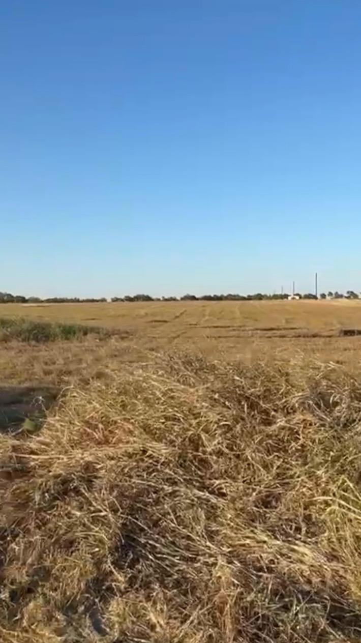 Image 4 of 7 For 00 County Road 133 Ctr Lot 6