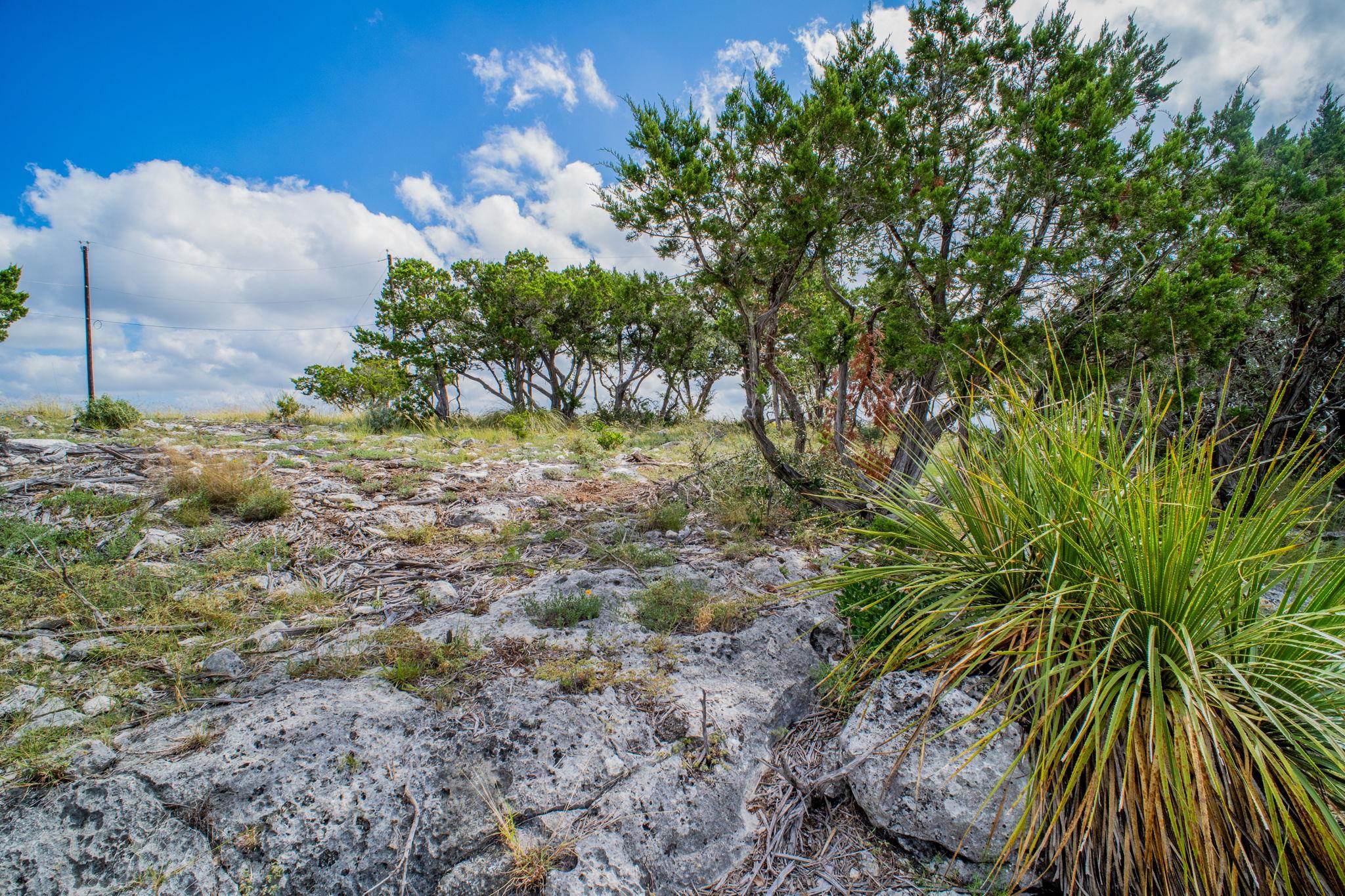 Image 12 of 20 For 88 Oryx Trl 