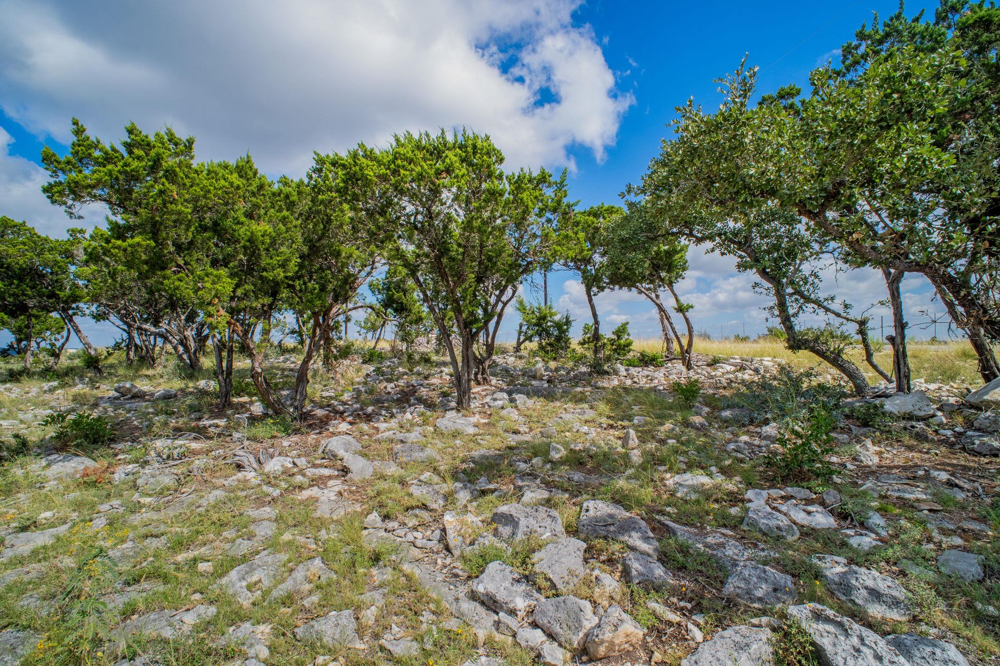 Image 13 of 20 For 88 Oryx Trl 